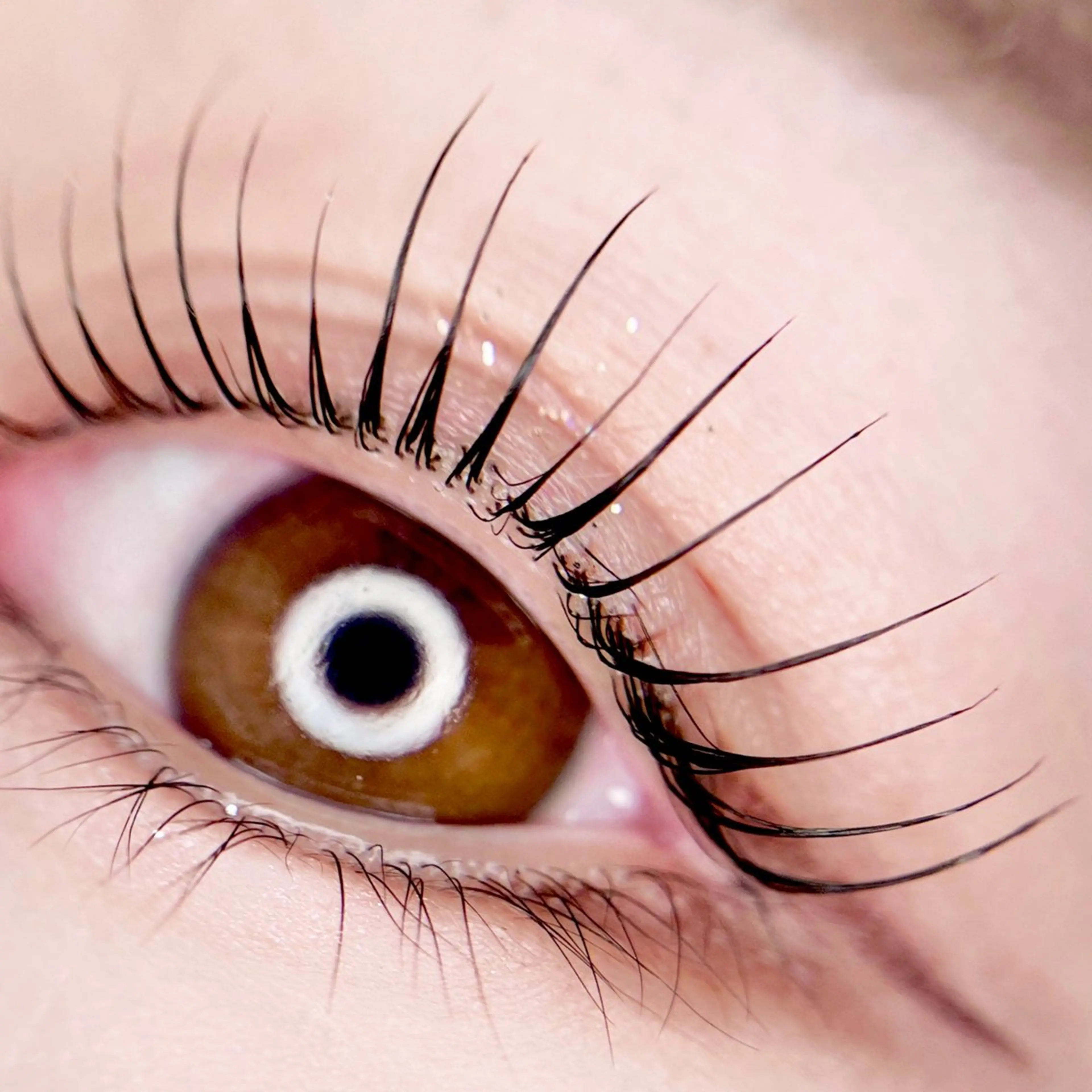 まつ毛パーマ（パリジェンヌ可/選べるデザイン）オフ込み・コーティング仕上げ🪞✨¥5,500→¥4,980の写真