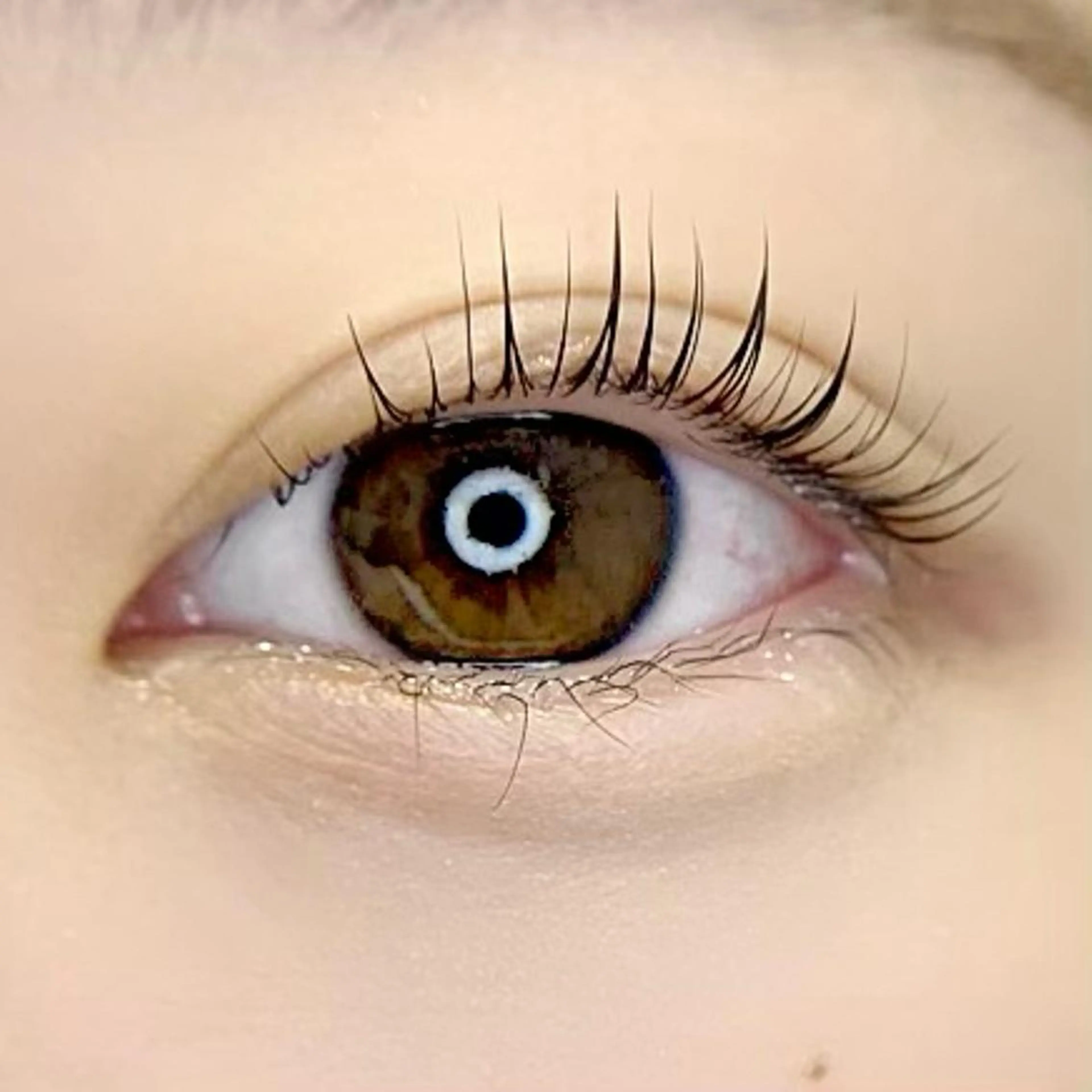 マツエク・マツパ Cindy  大井町 🩶 asakaのマツエク・マツパデザイン