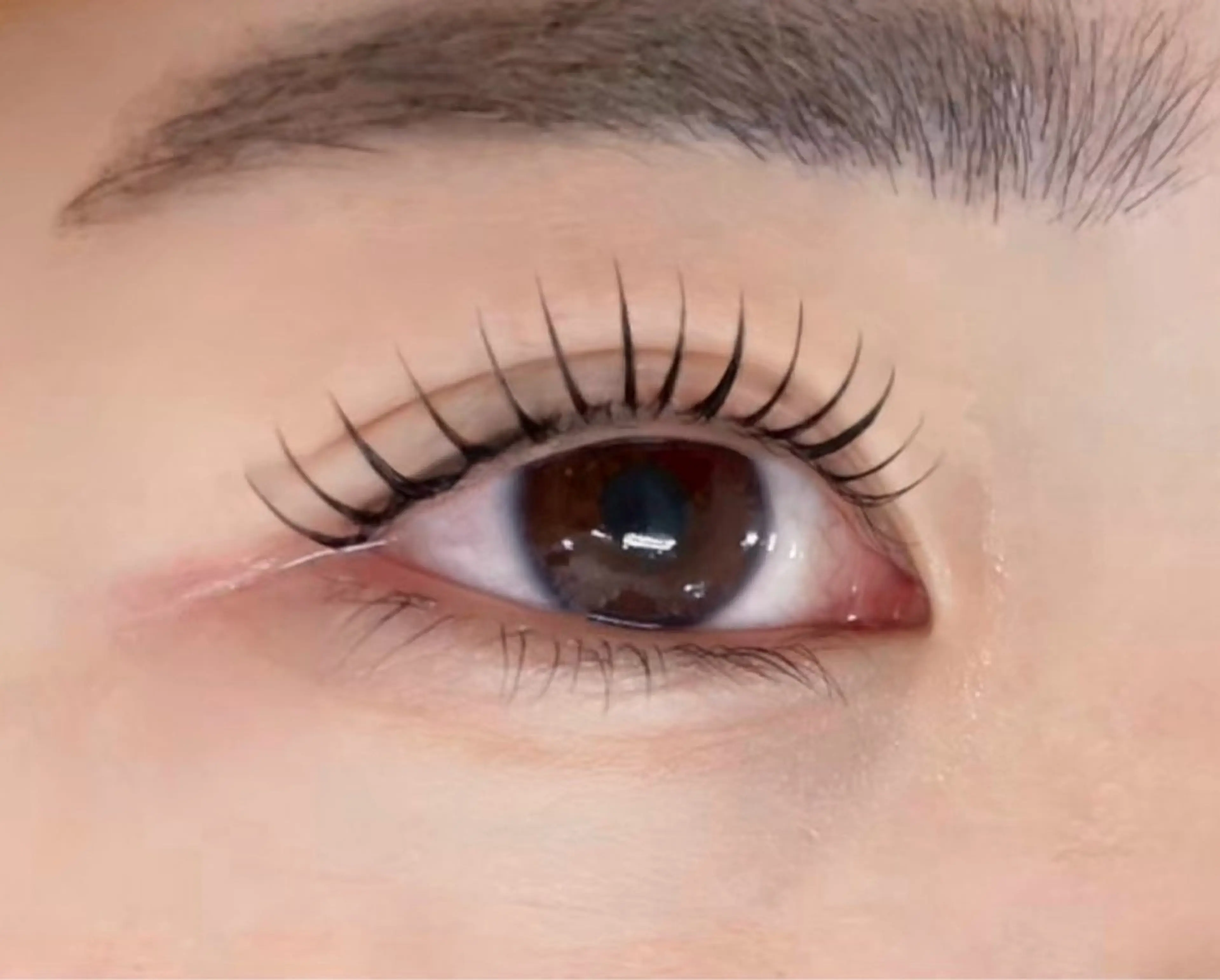 【限定クーポン 】似合わせ☘️マスカラパーマ【ブラックティント付】の写真