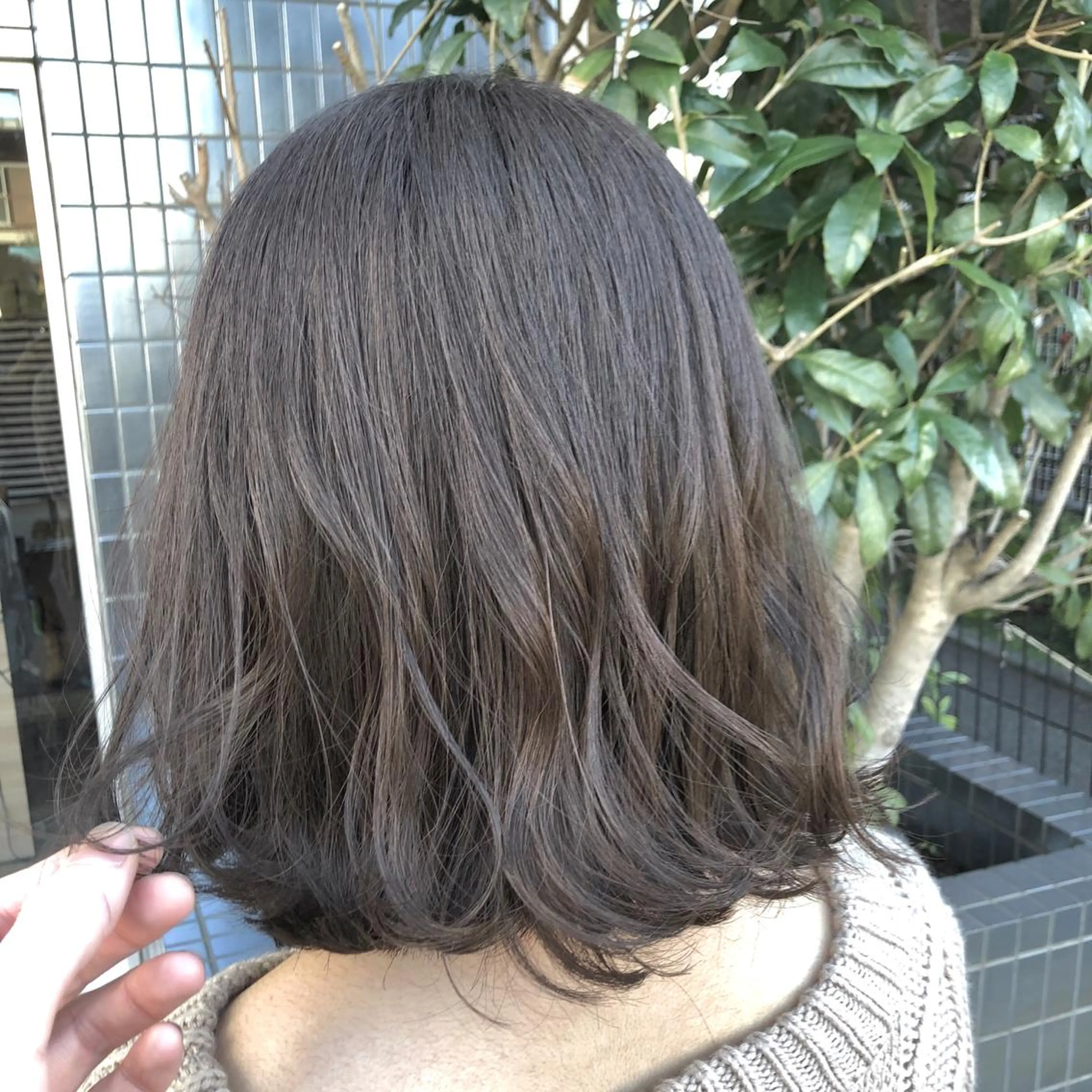 ショート カラー カット ヘアカラー トリートメント ish by fan .代表✂️木谷宏夢のヘアスタイル