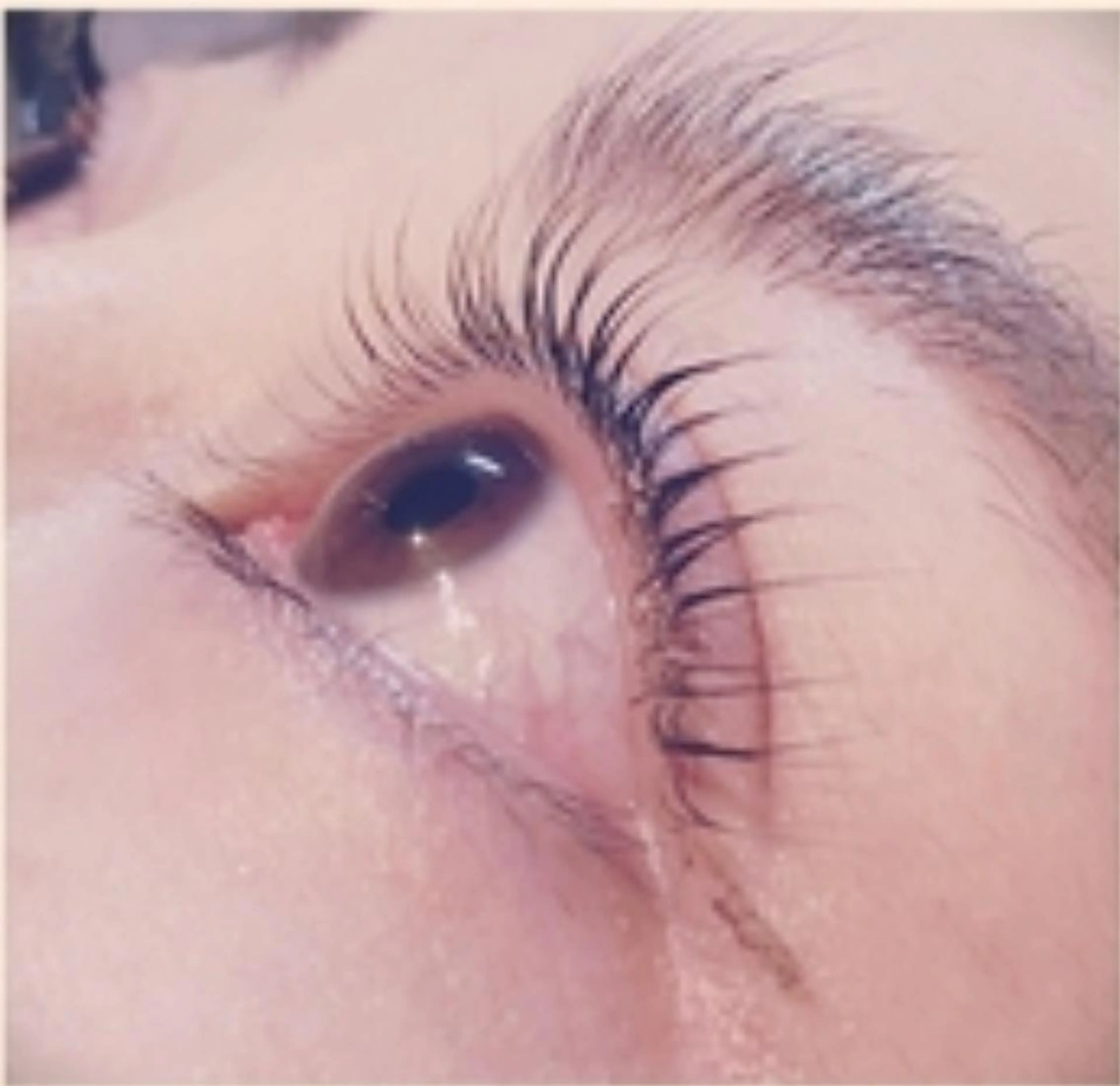 マツエク・マツパ 【LEGA 志木】 Kodamaのマツエク・マツパデザイン