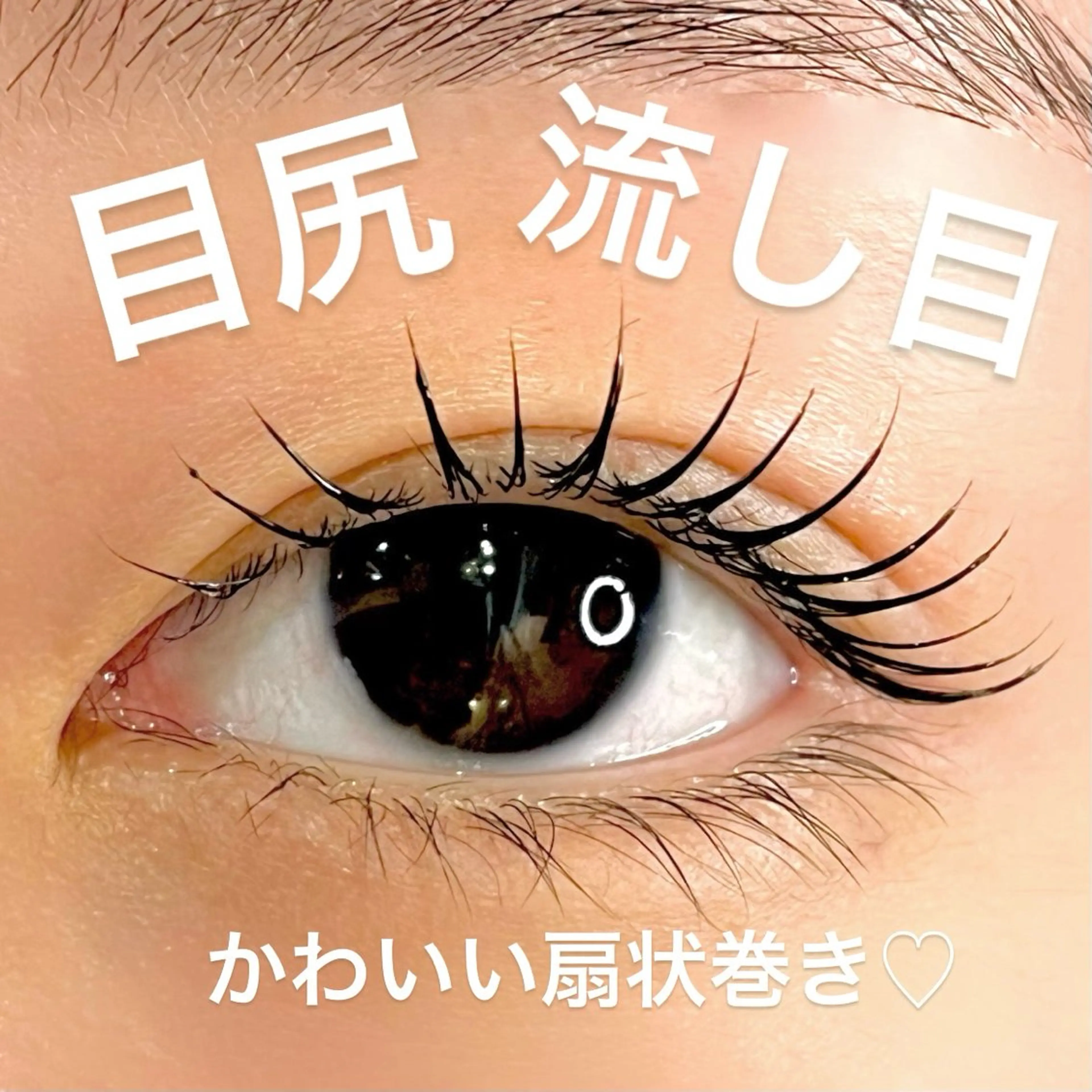 マツエク・マツパ 韓国風マツエク AI🌙登戸/ 骨格分析/眉/まつ毛の眉毛・アイブロウイメージ