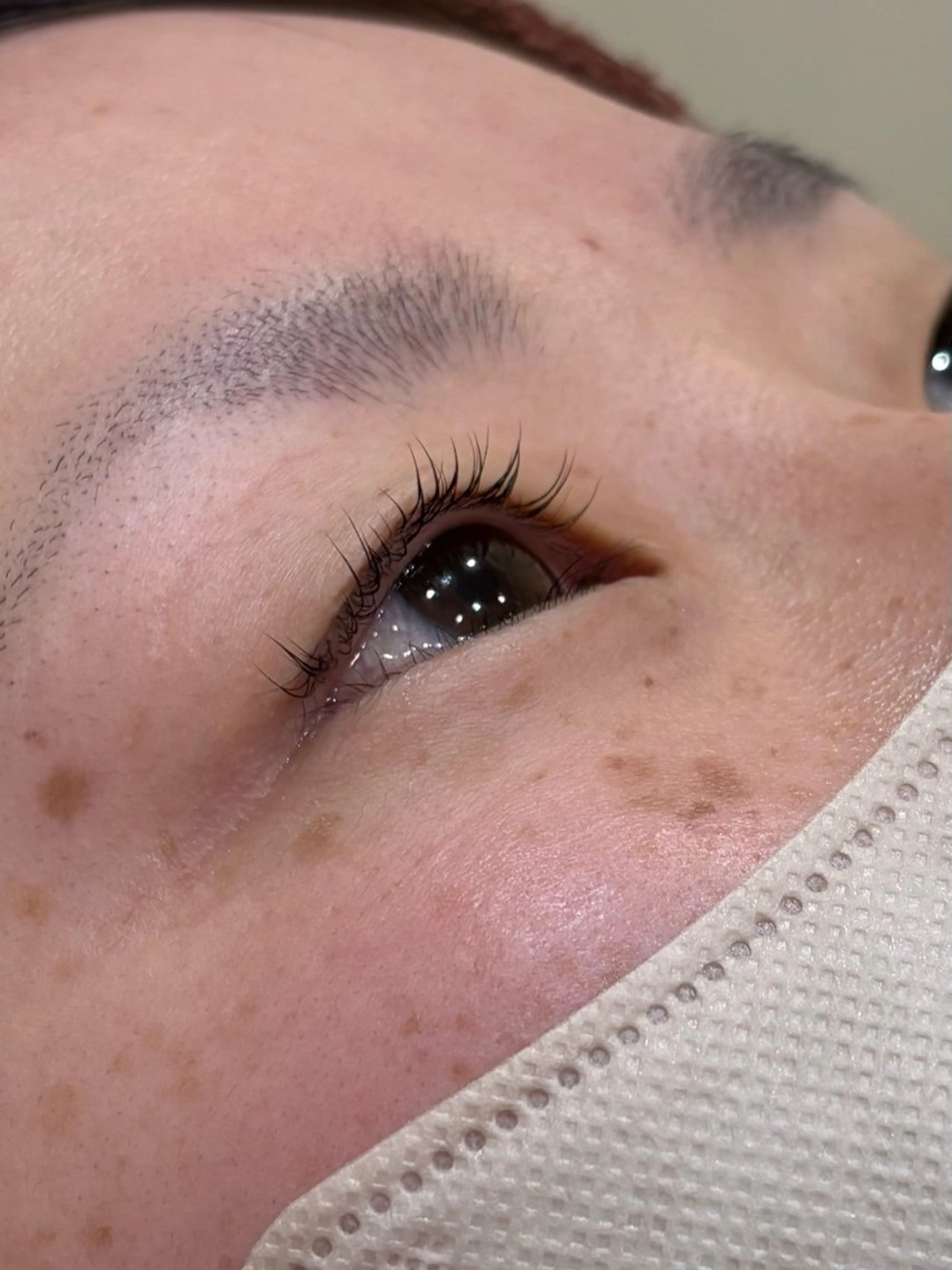 土日限定　パリジェンヌラッシュリフト【根元を立ち上げたい方】の写真