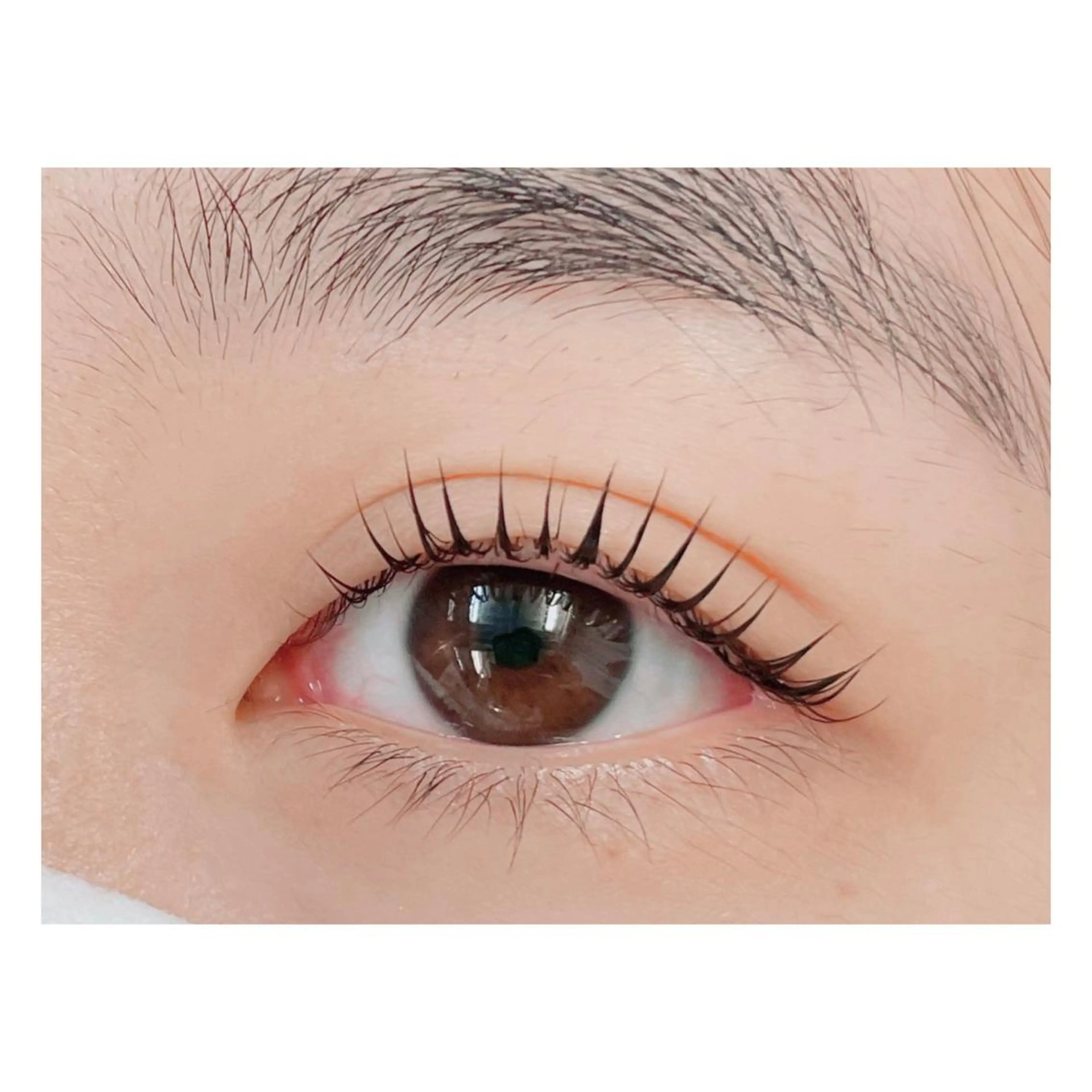 マツエク・マツパ 🩶Bianca IHARA🩶の眉毛・アイブロウイメージ