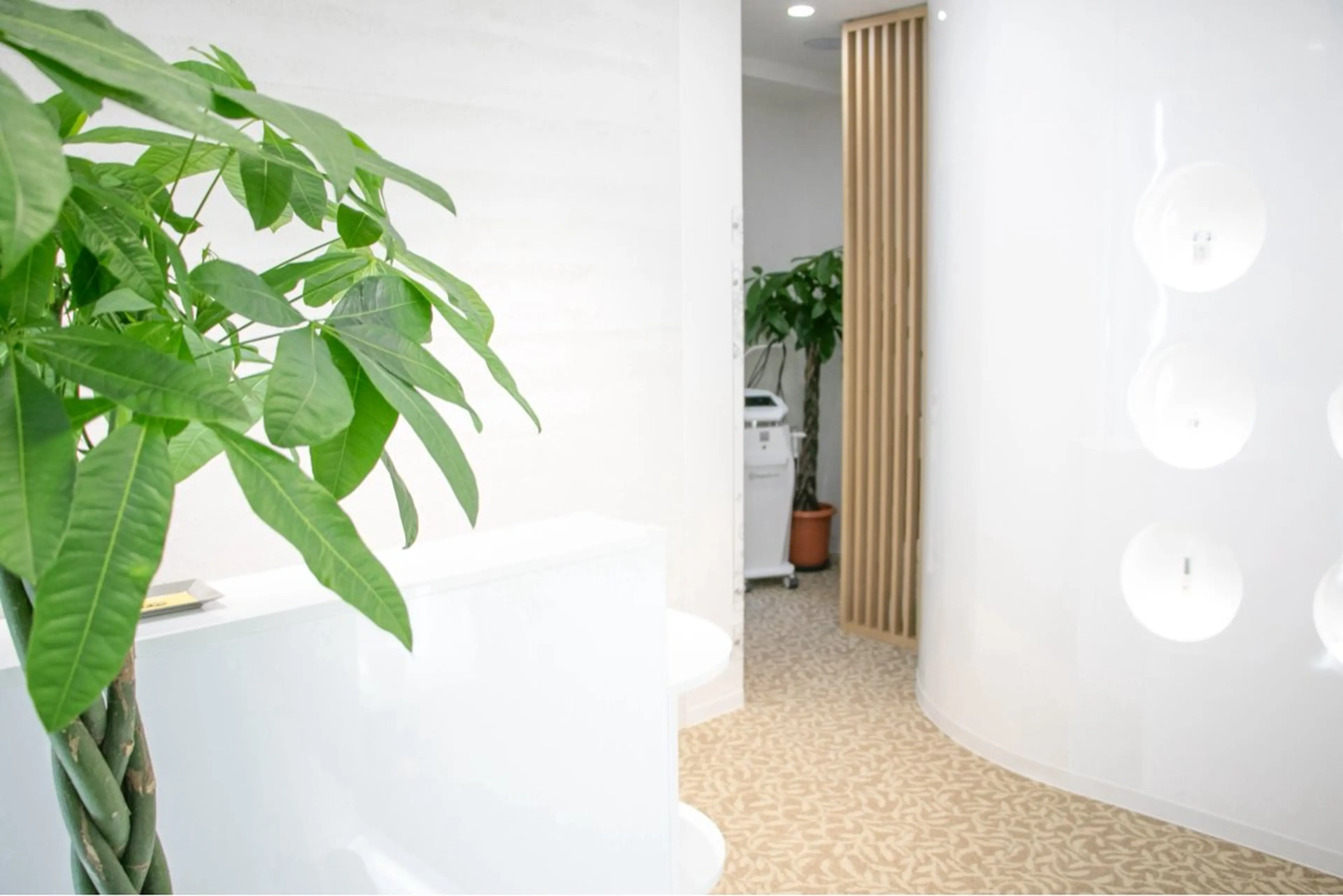 Dr.Vilabo+ 美肌·痩身専門店のエステ・リラクイメージ