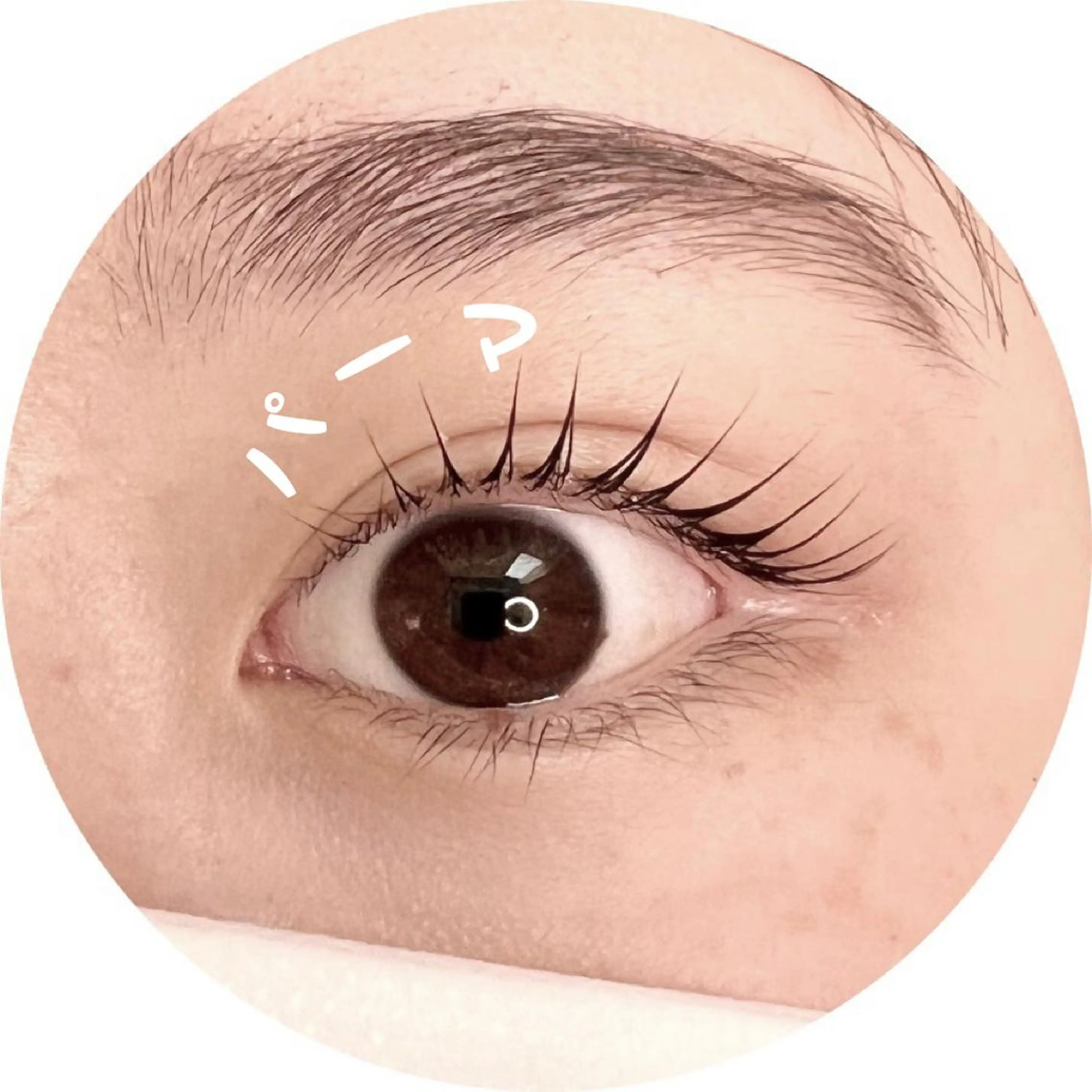 マツエク・マツパ 束感まつ毛 HAYASHI💗 忙しい女性の救世主のマツエク・マツパデザイン