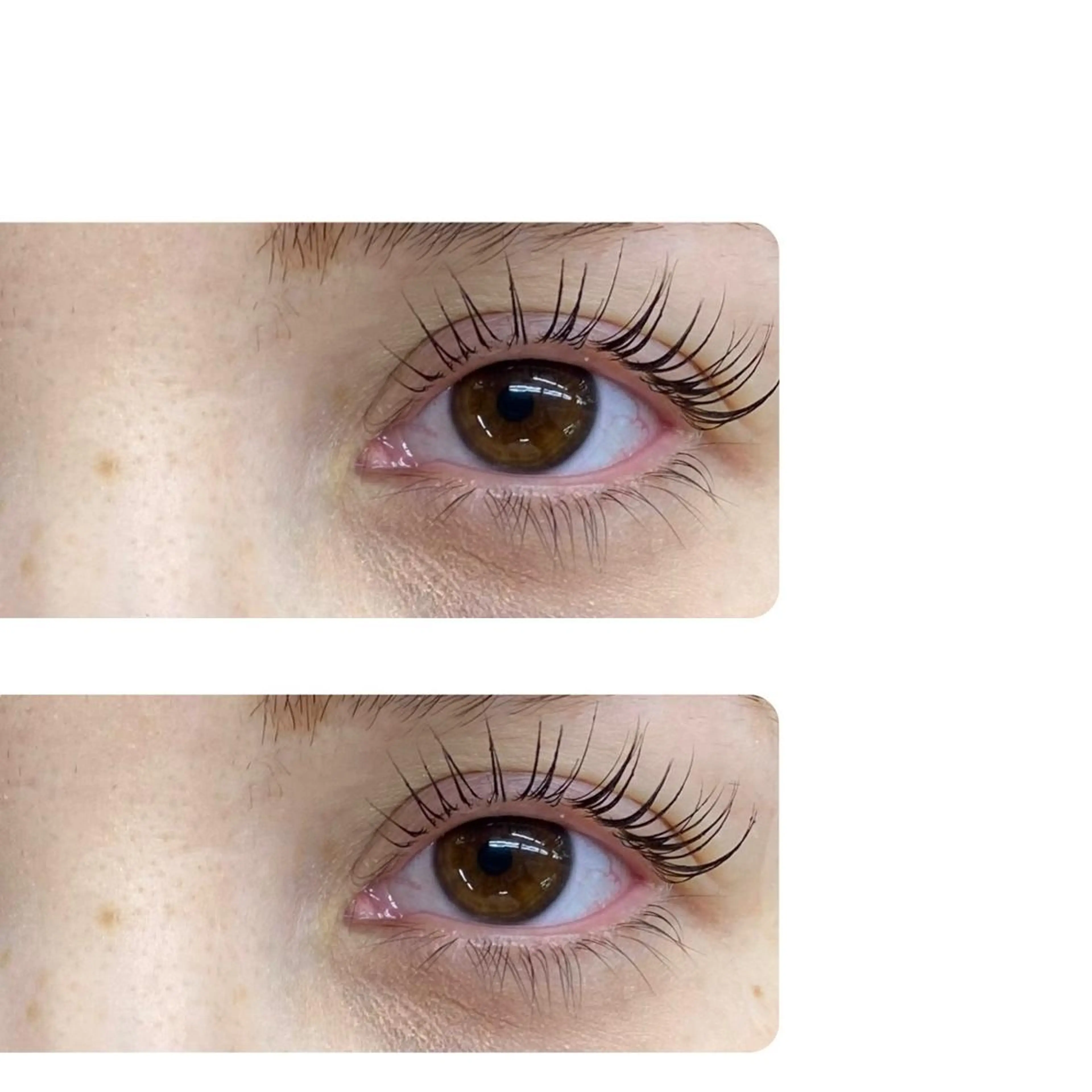 マツゲパーマの写真