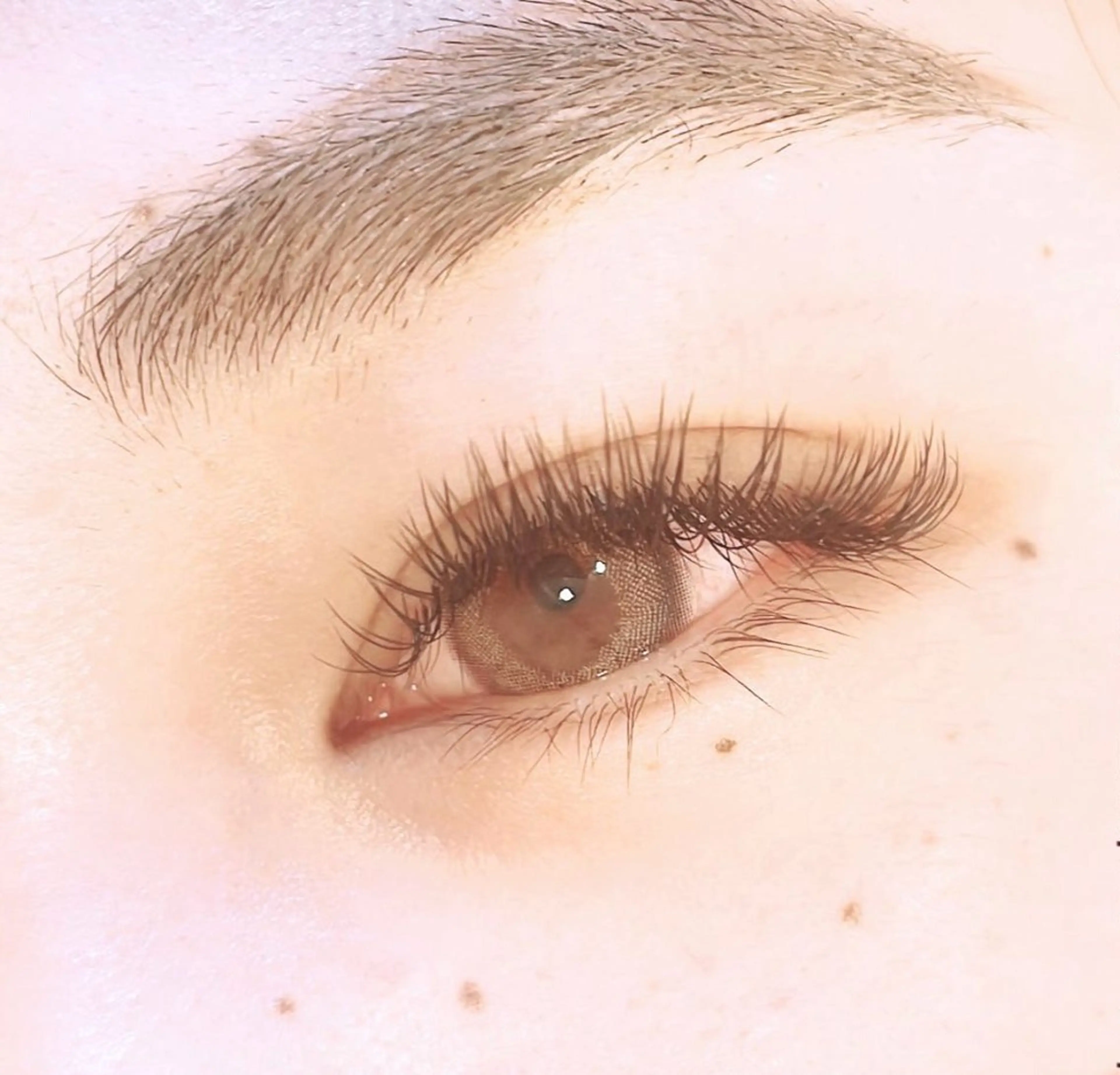 オリジナルバインドラッシュ140束まで✴︎オフ込みの写真