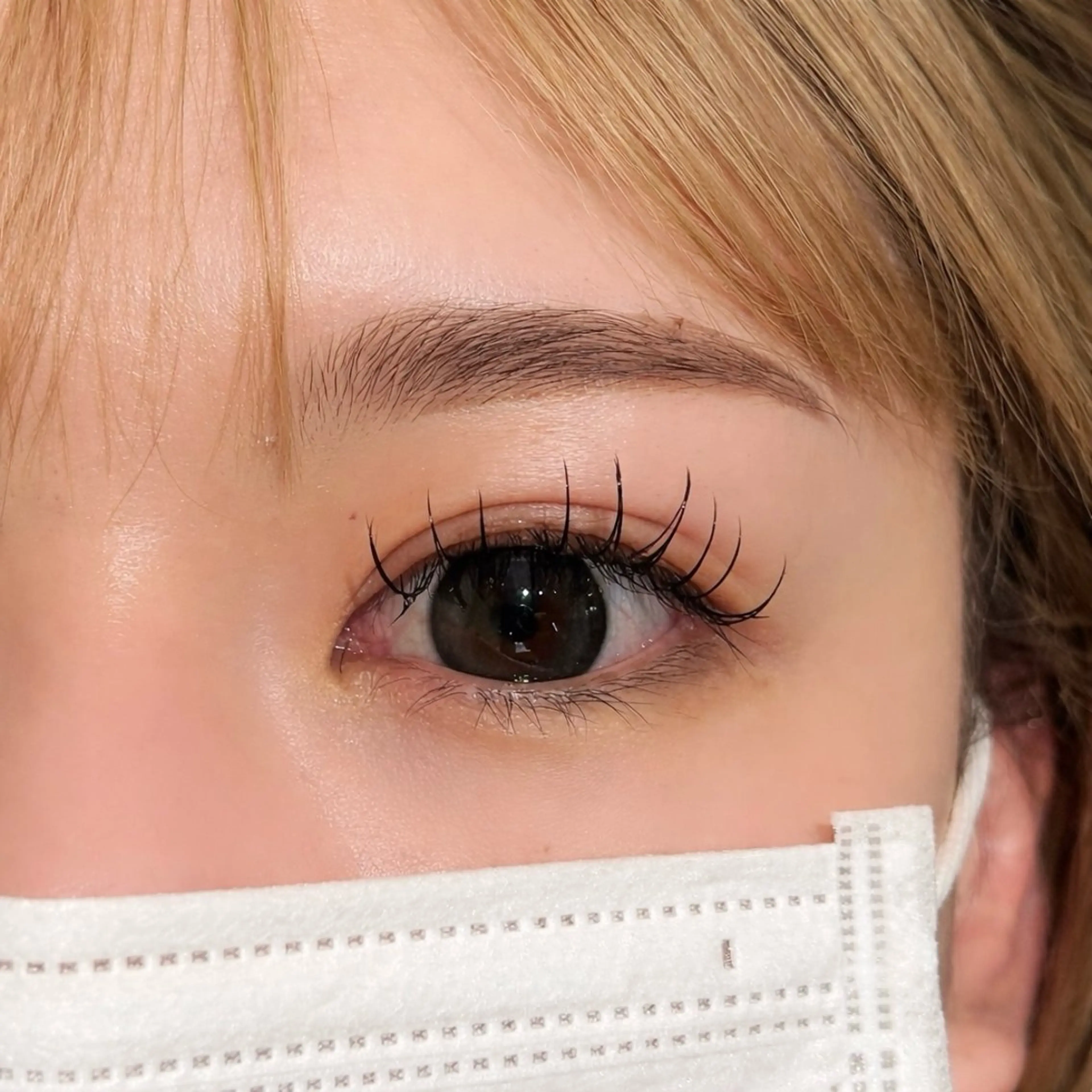 【ご新規様限定🎶】LEDマツエク100本➕シングルオフ、コーティング込✨の写真