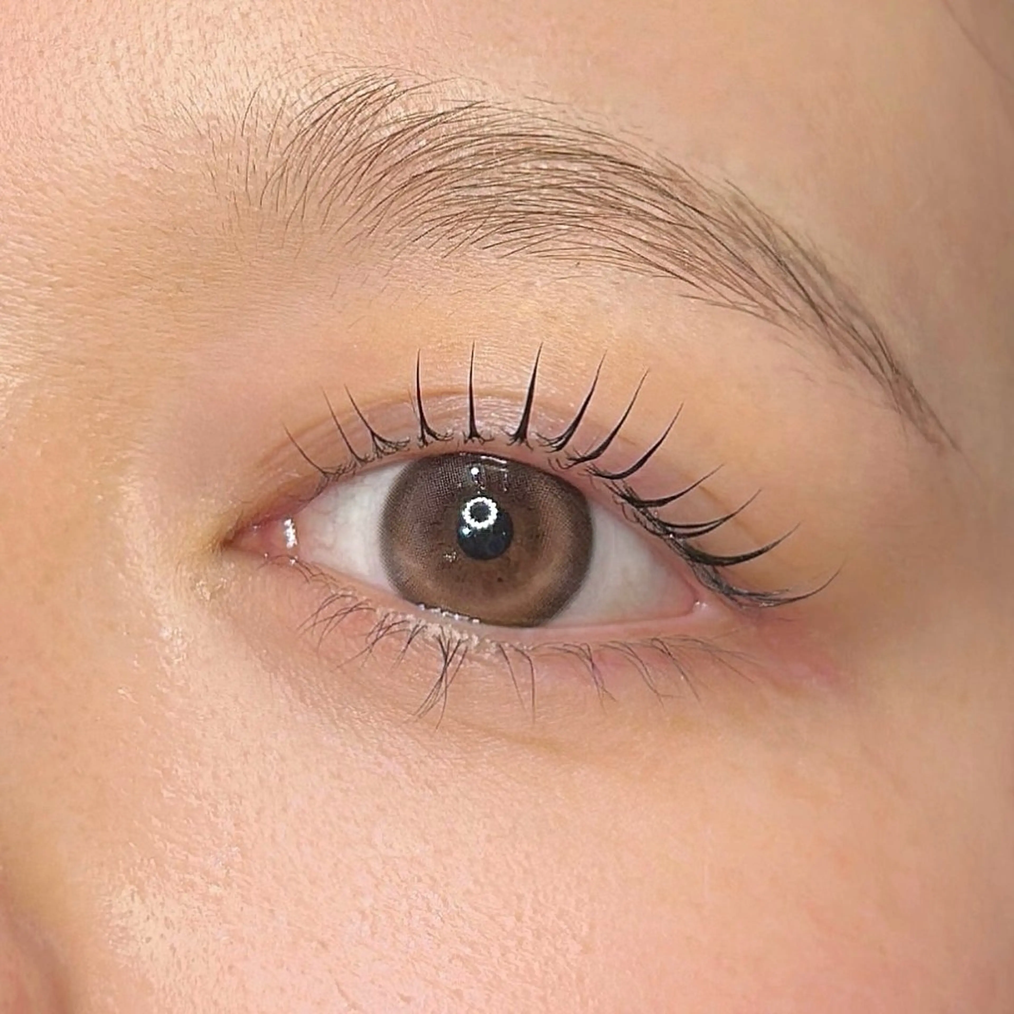 【垢抜けフルコースMenu】立ち上げ韓国風🇰🇷束感まつ毛パーマ＋美眉デザインWAXの写真