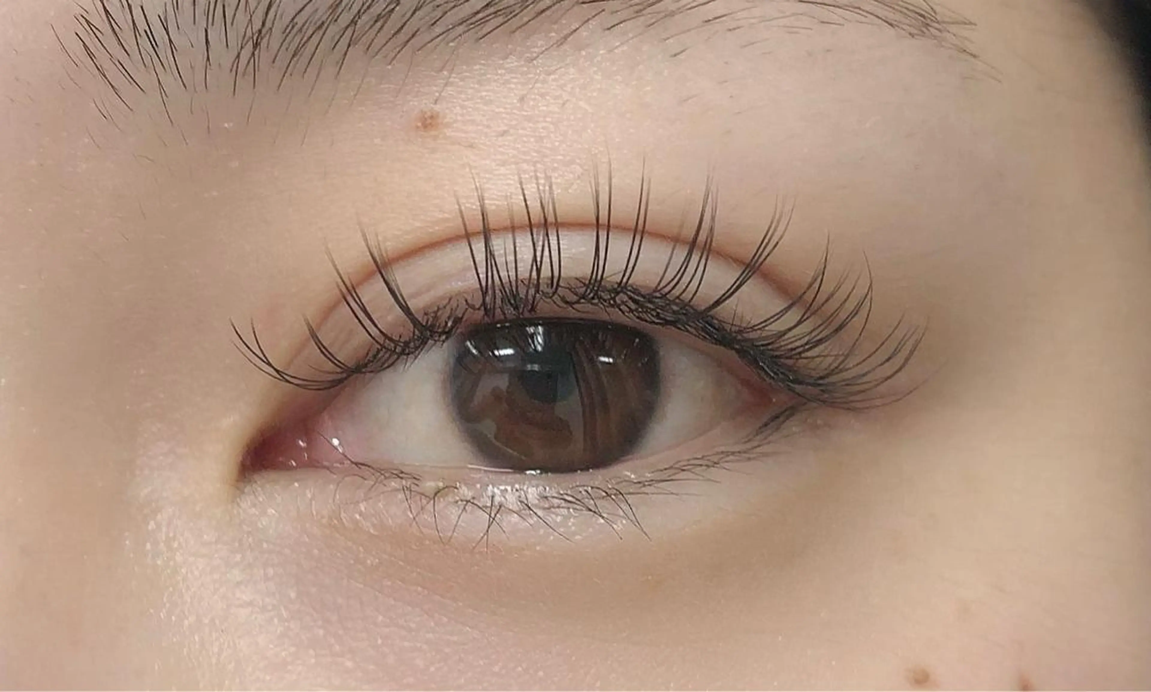 LEDエクステ100本の写真