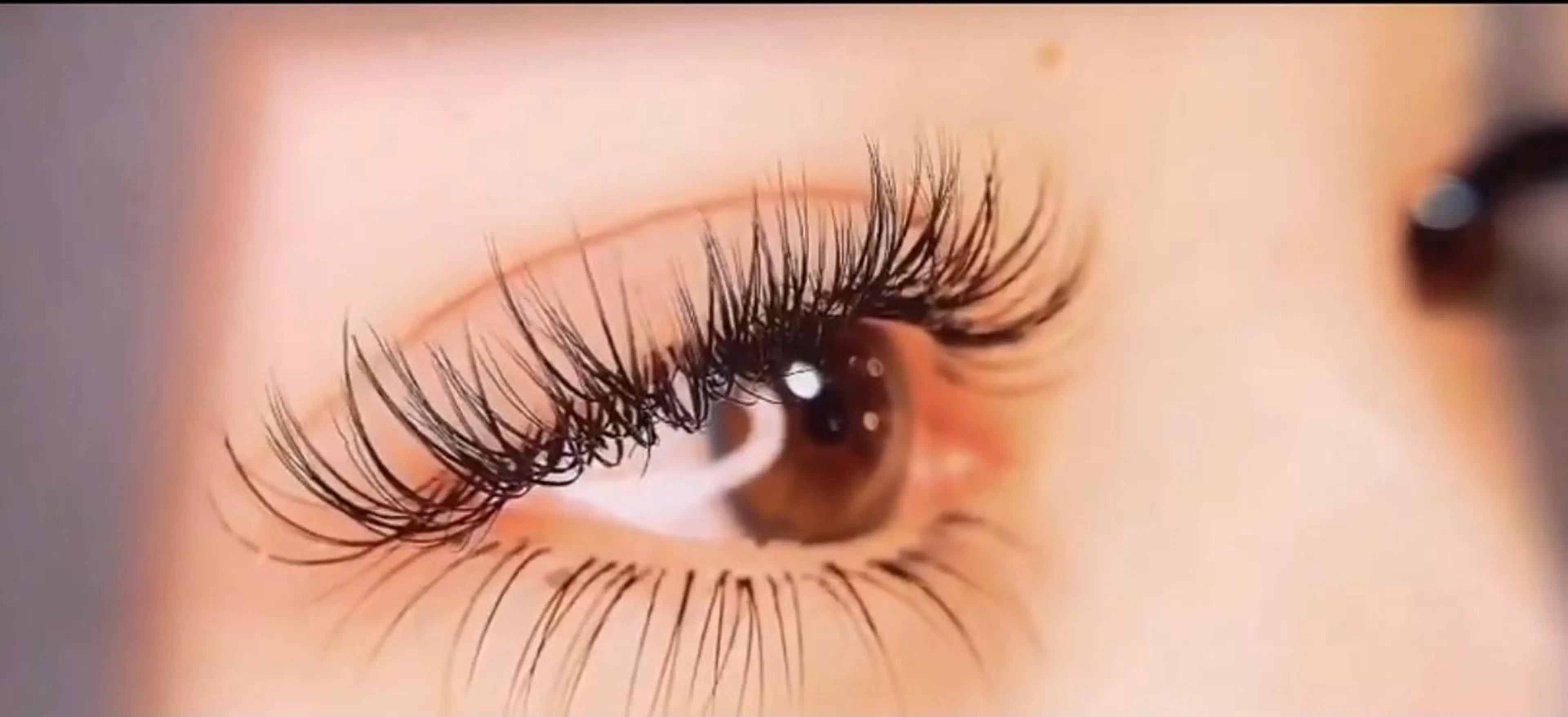 人気NO2❣️オフ込み♪AUDREYフラットマットラッシュつけ放題 ブラウン/ブラック¥6980の写真