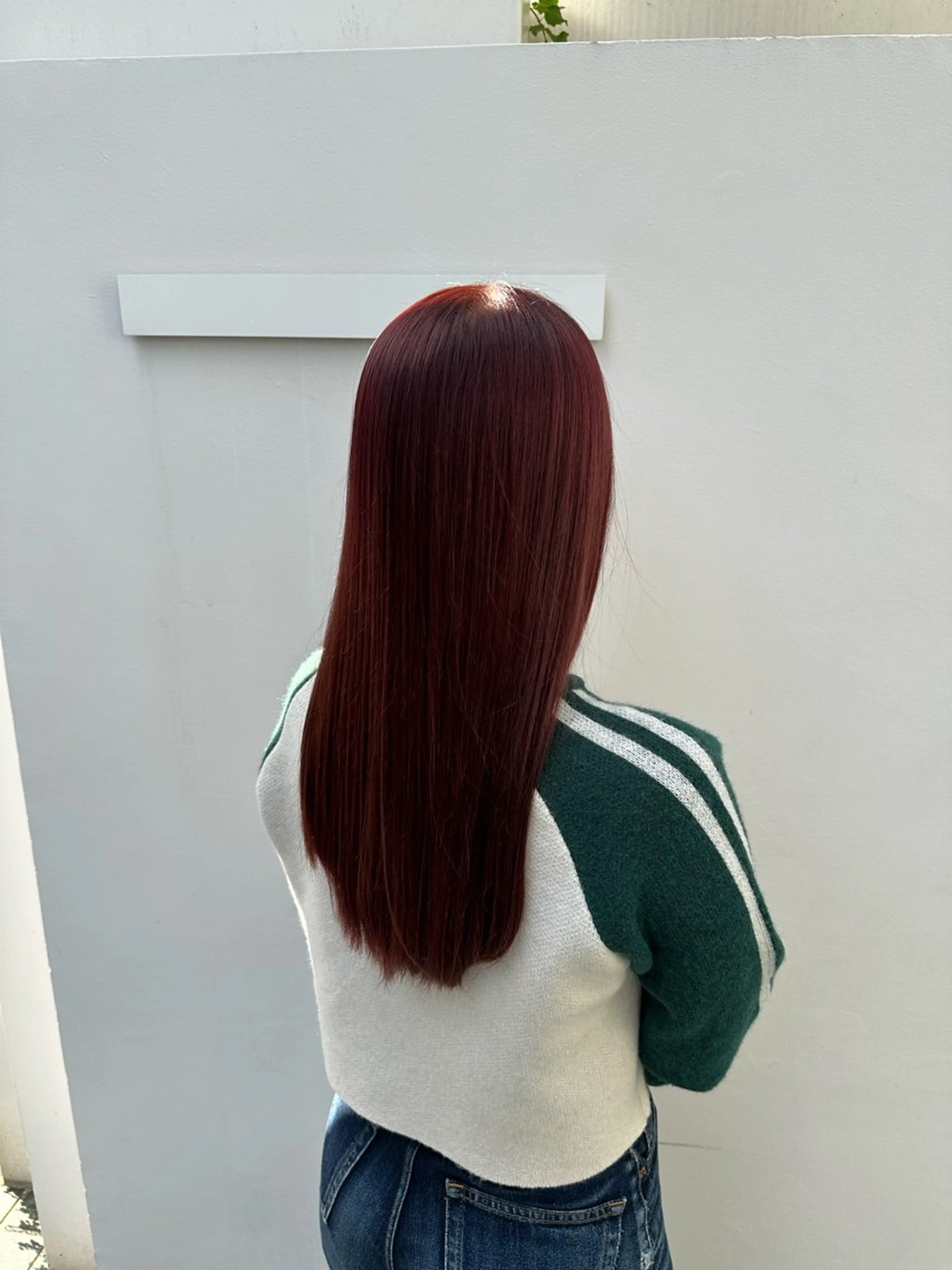 カラー(ワンカラー)の写真