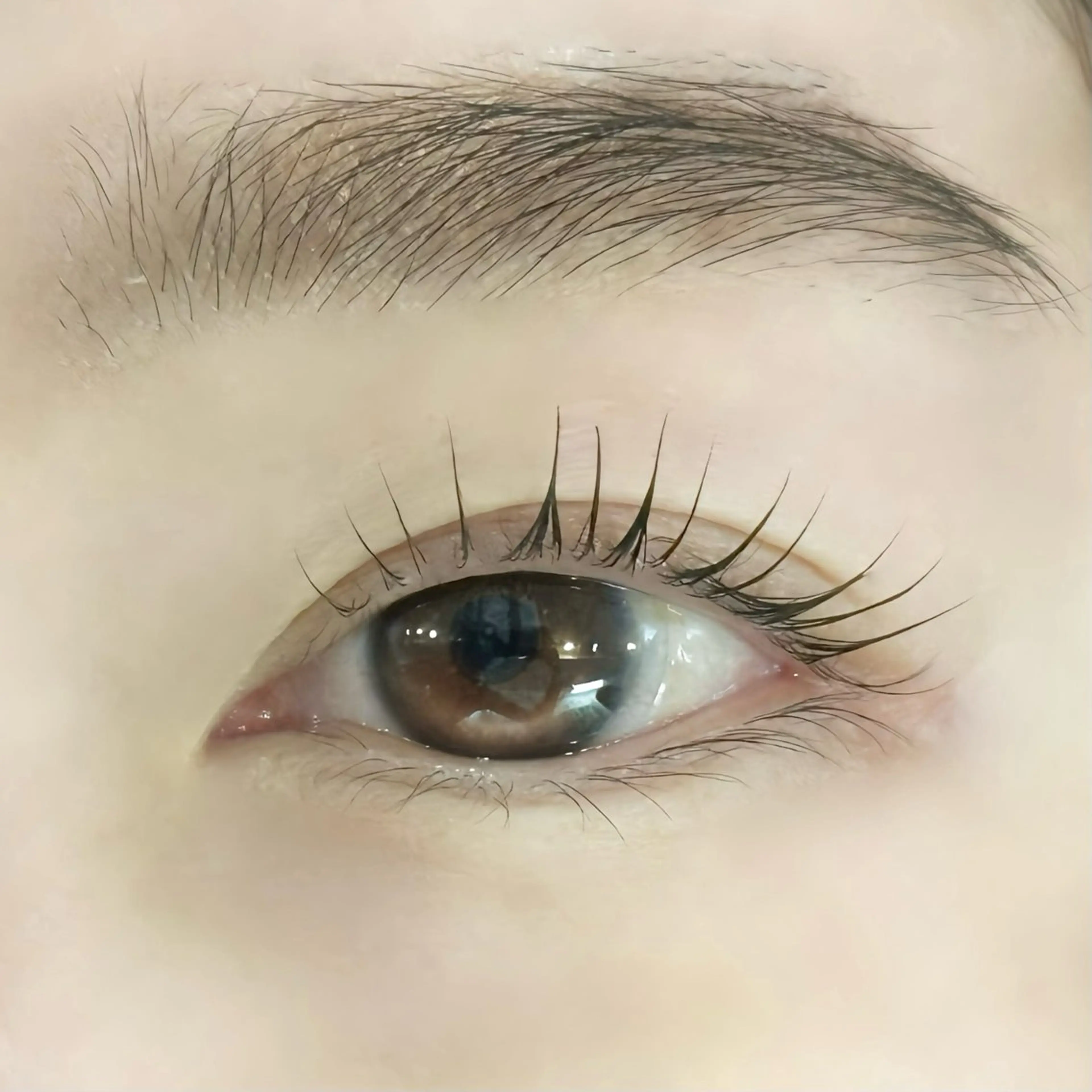 4月15日(水)10:00​〜​🫧ラッシュリフトモデル🫧デザイン選択可♪の写真