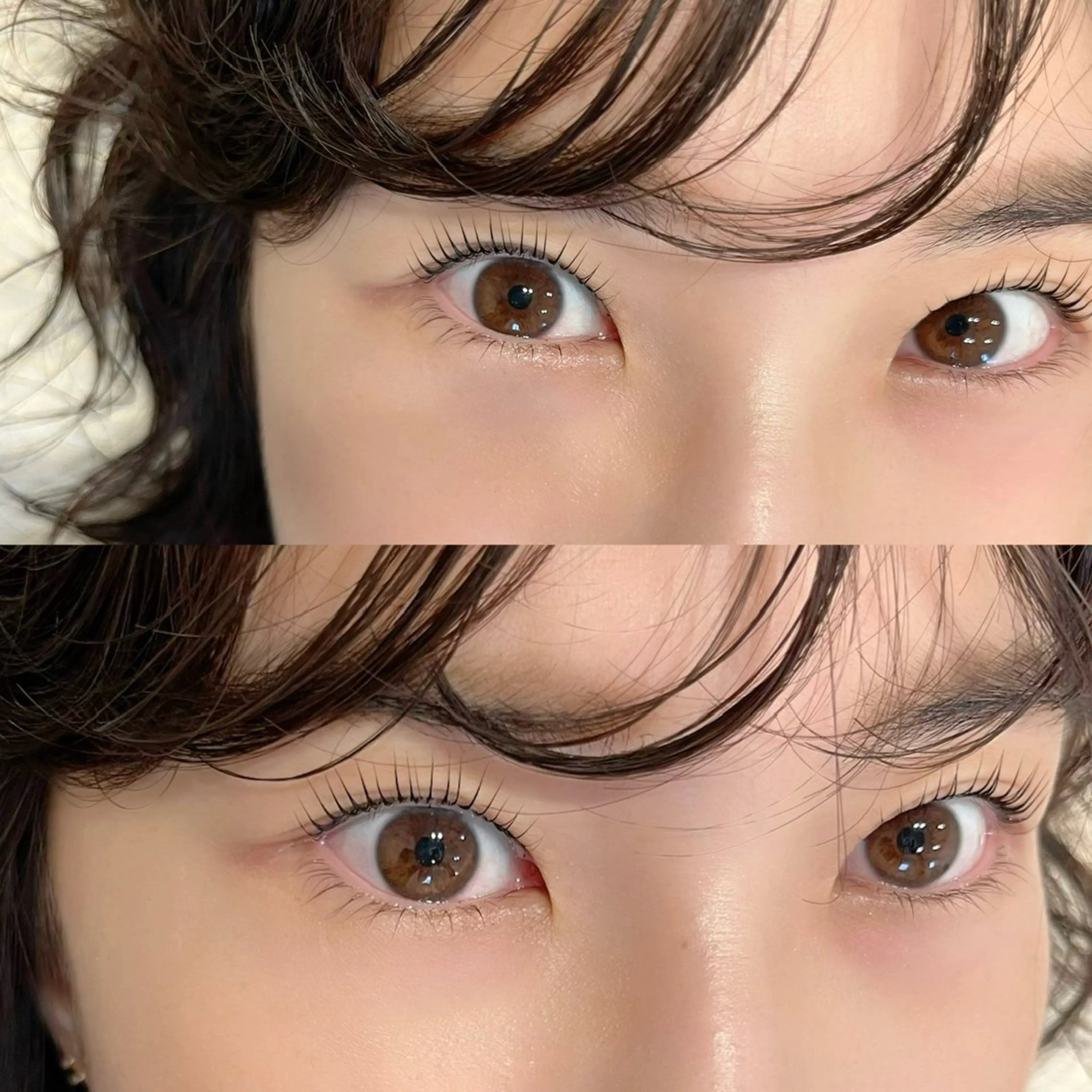 マツエク・マツパ Lカール TREE 筒井紫歩のマツエク・マツパデザイン