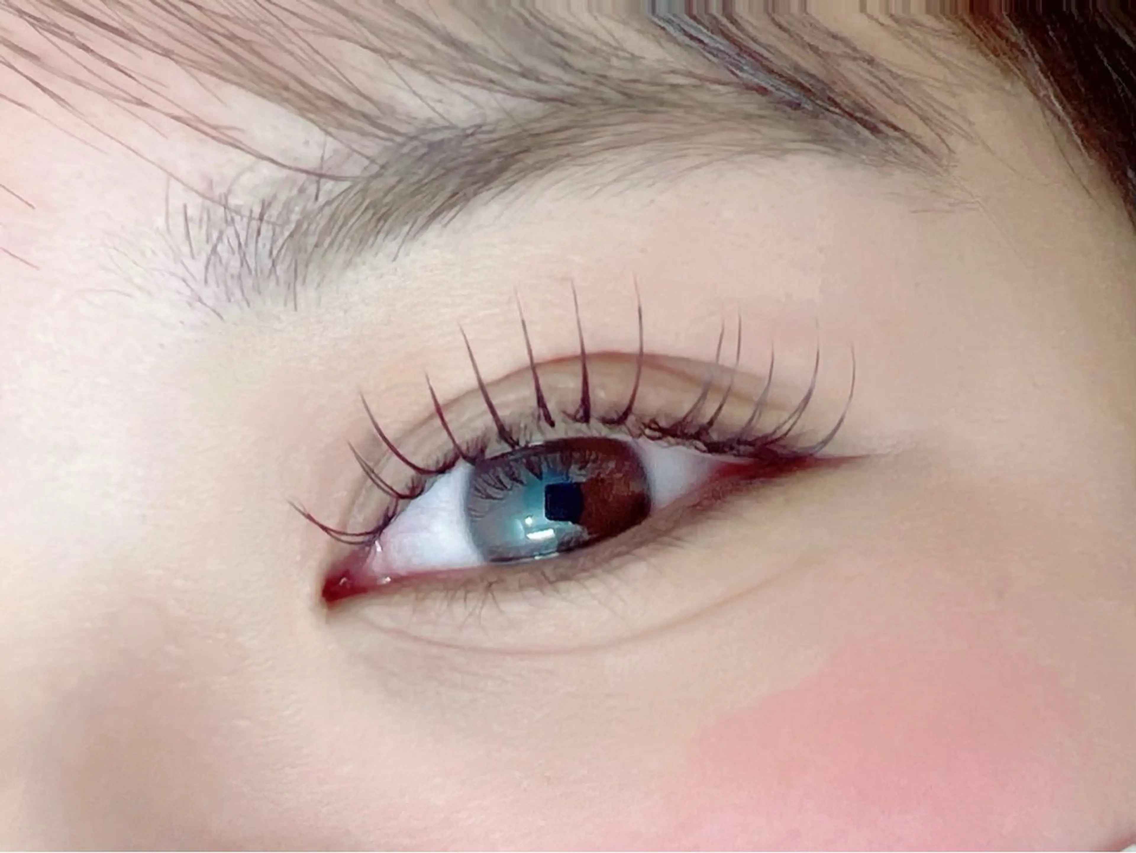 フラットラッシュ100本の写真