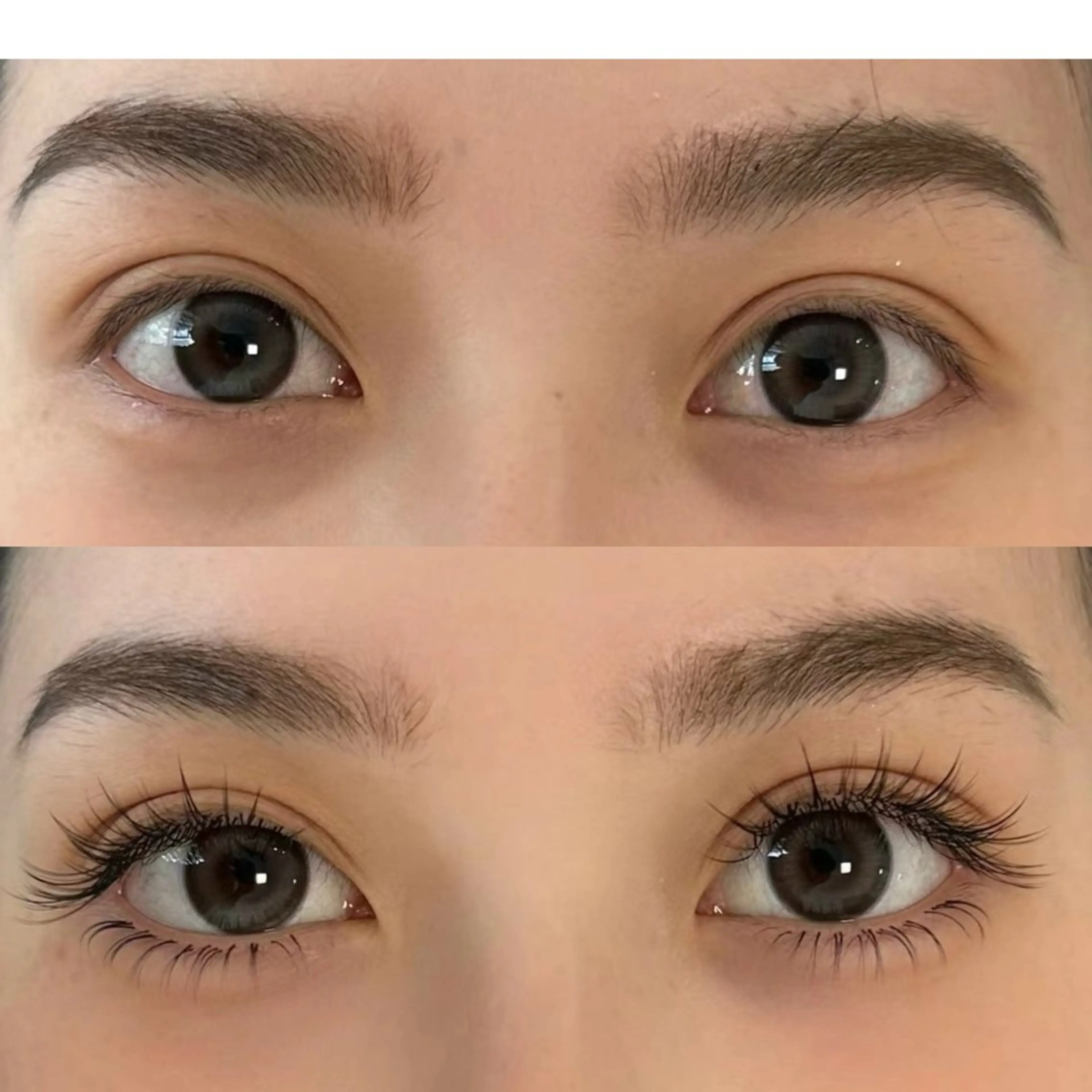 マツエク・マツパ まつげパーマ専門店 FOIのマツエク・マツパデザイン