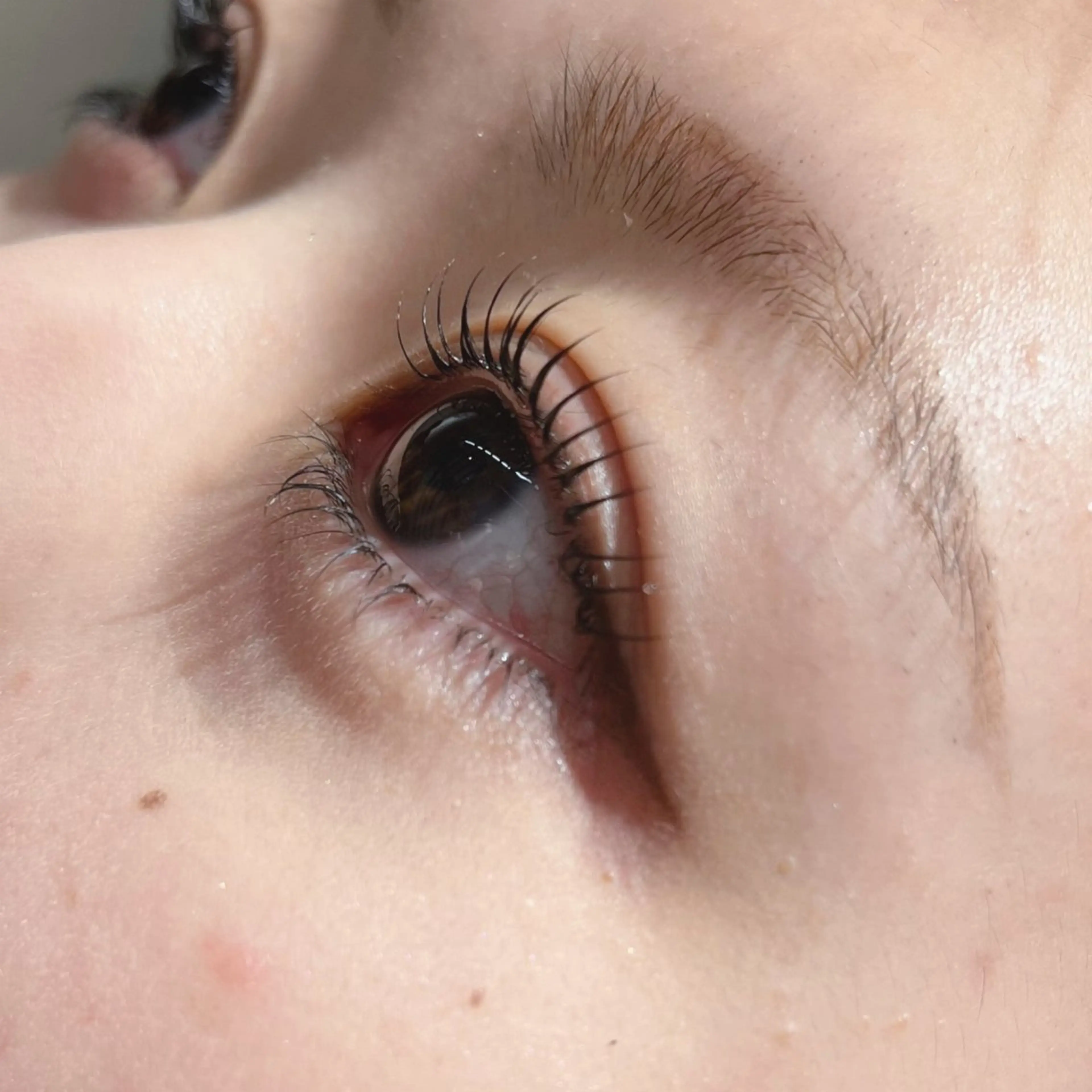 マツエク・マツパ パリジェンヌラッシュリフト マツパ 𝐞𝐢𝐠𝐡𝐭 MAO🖤の眉毛・アイブロウイメージ