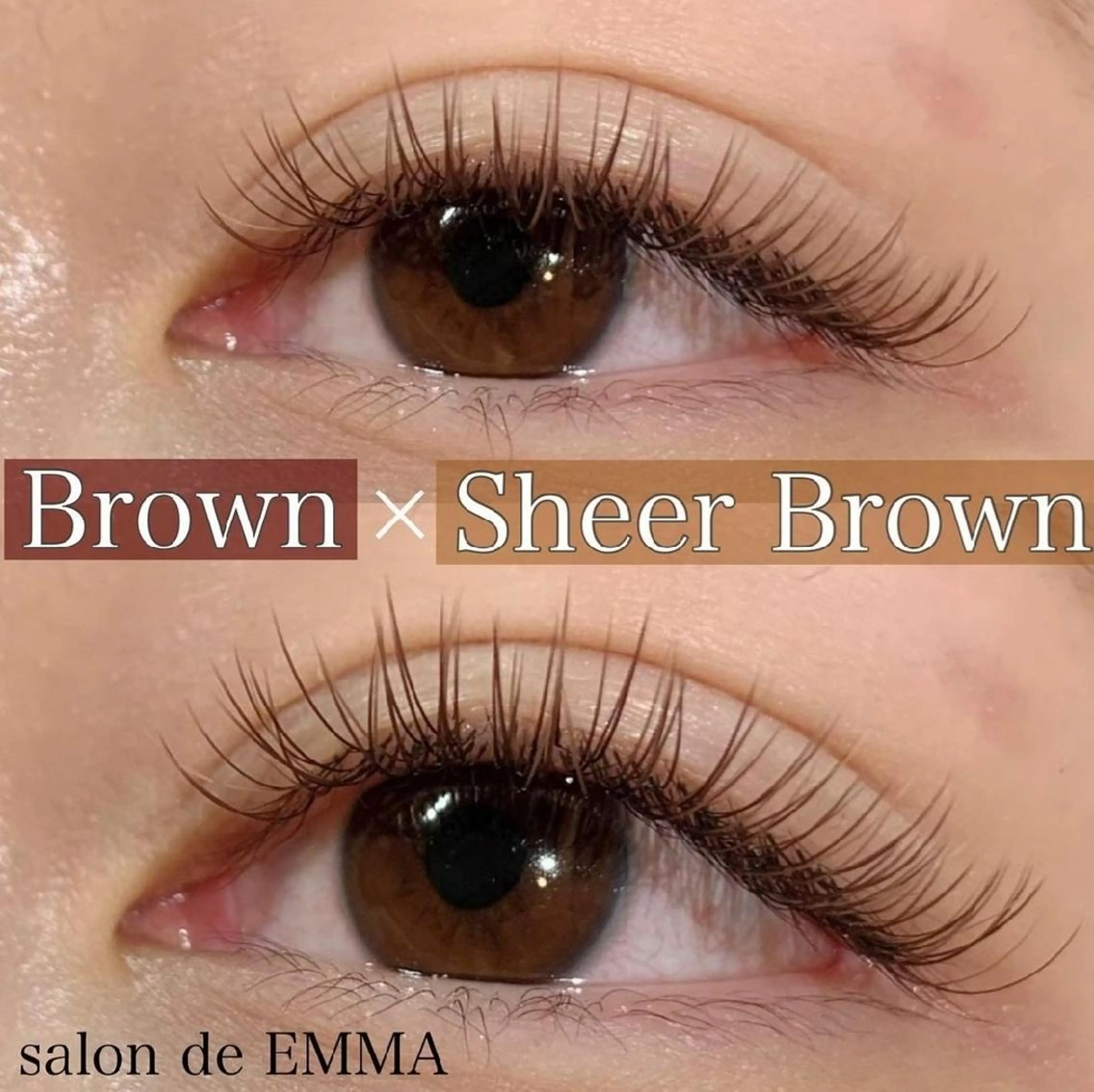 フラットマットラッシュ☆140本の写真