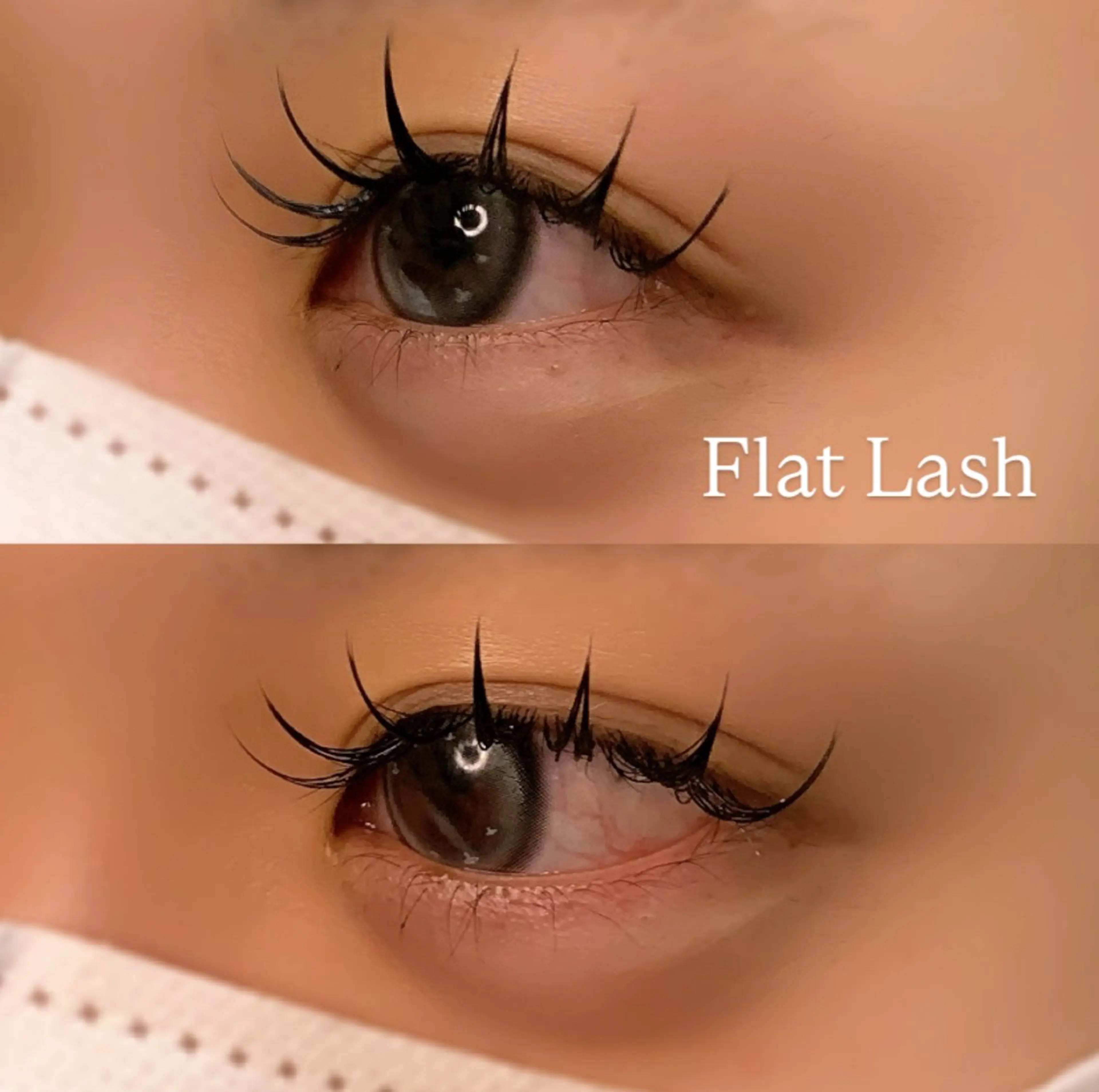 マツエク・マツパ Dカール フラットラッシュ マツエク Ayumi.pro 🍆N《4階》のマツエク・マツパデザイン