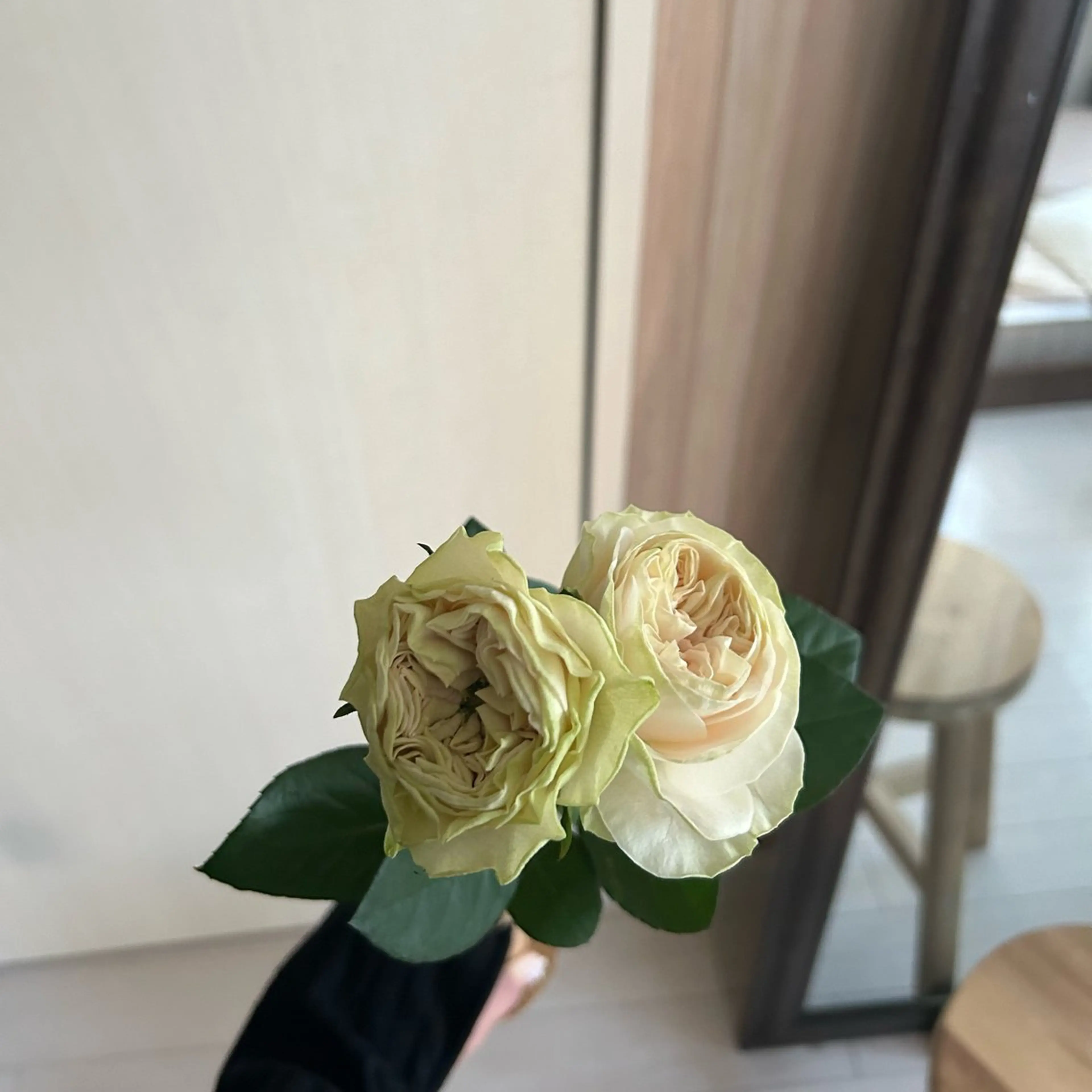 GO TODAY SHAiRE SALON Vellmie店所属・吉祥寺kasumi 🌛eye/browのマツエク・マツパデザイン