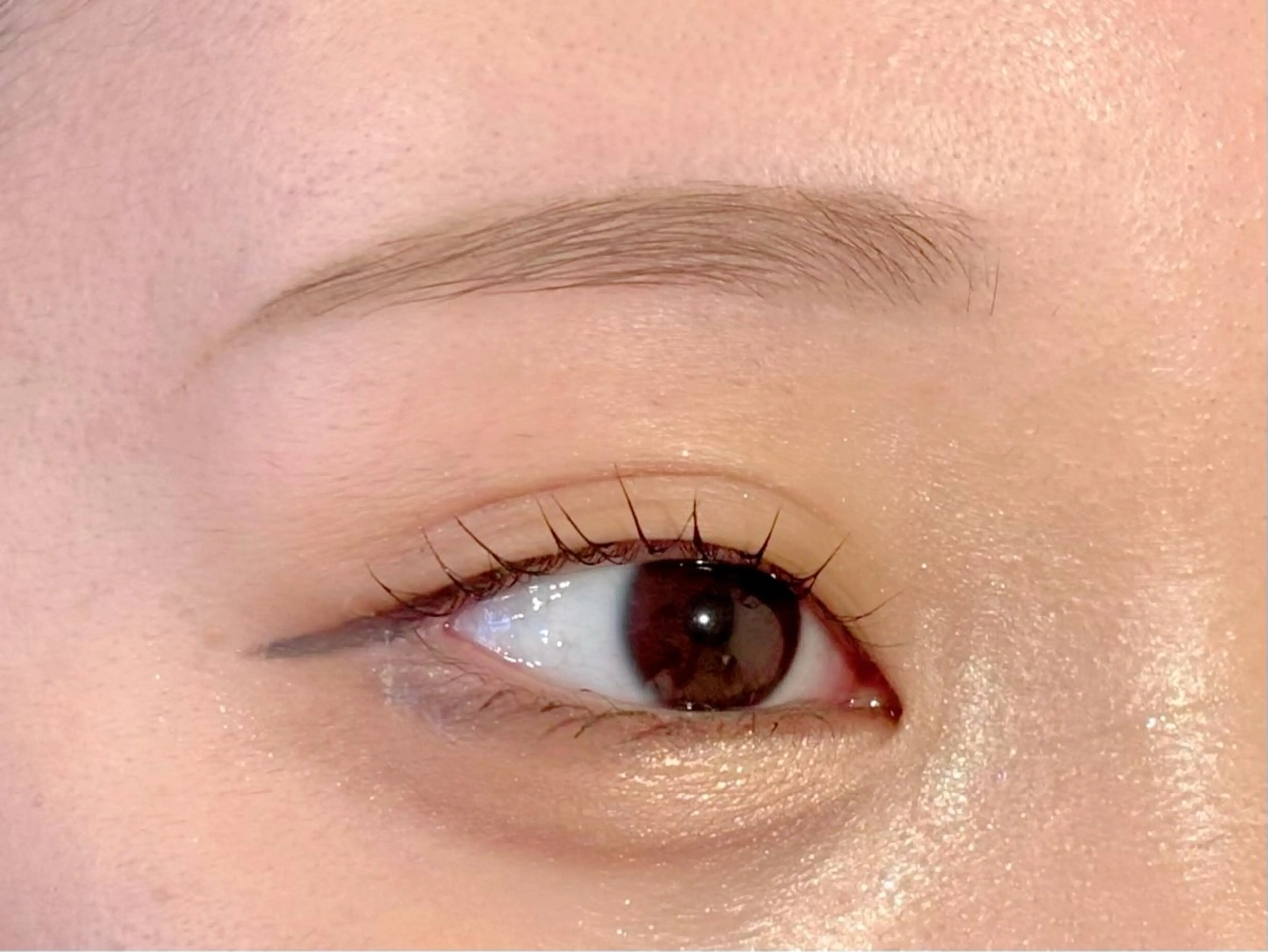 アイブロウ 眉毛ワックス脱毛 OAK（オーク） 小倉店のマツエク・マツパデザイン