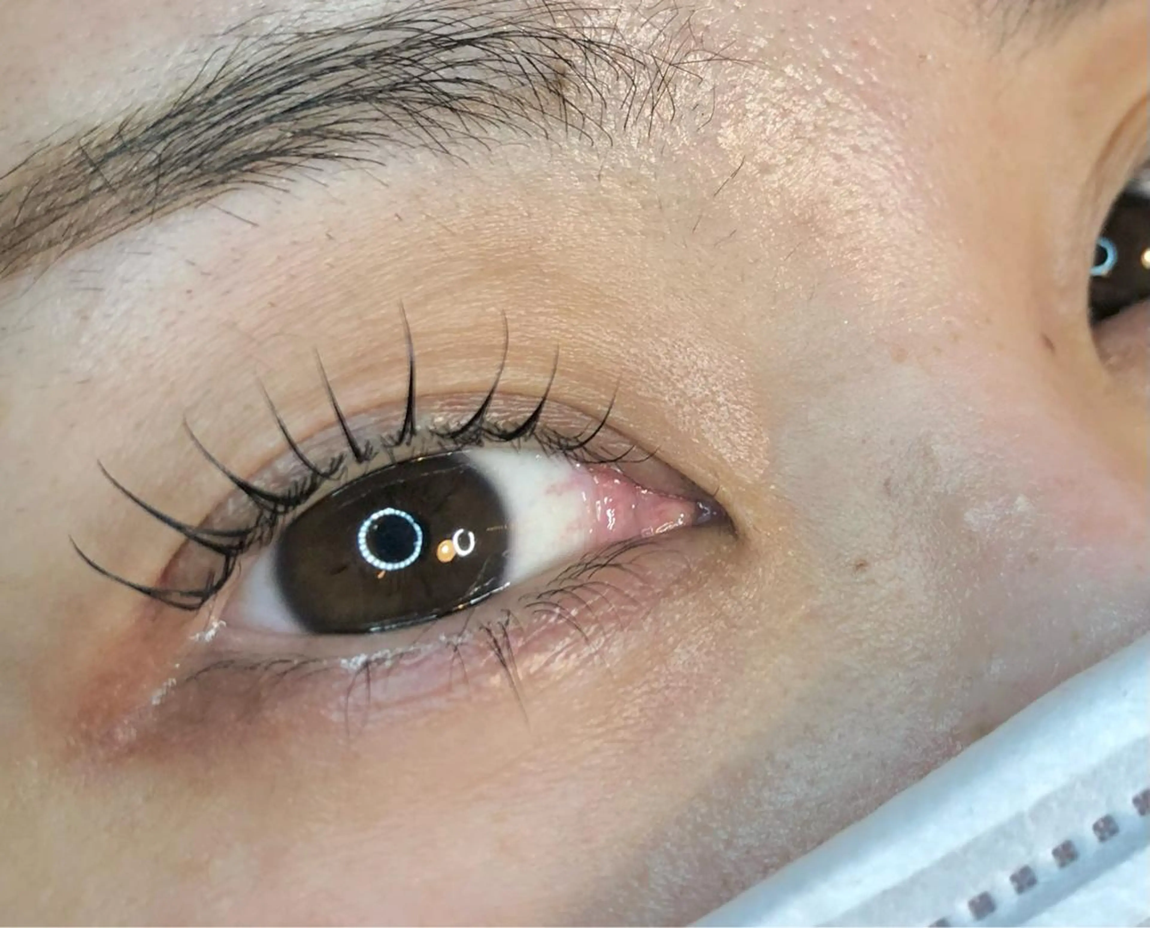 マツエク・マツパ ケラチンラッシュリフト バービーラッシュリフト フラットラッシュ パリジェンヌラッシュリフト まつげパーマ Lulu nerineのマツエク・マツパデザイン