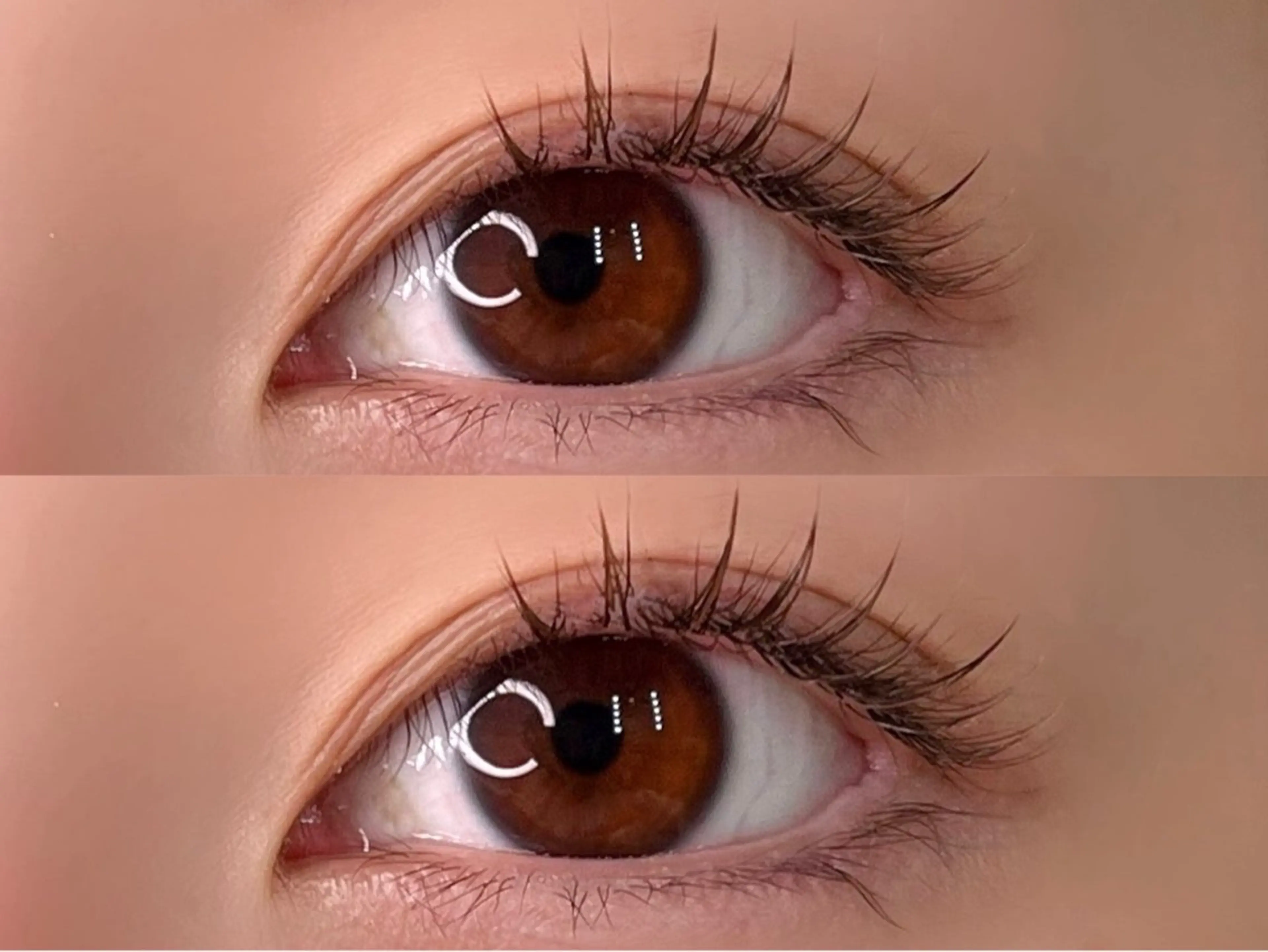 オフ無料❣️【フラットラッシュ100本】ブラック&ブラウンmix可能🙆‍♀️コーティング付き🤎の写真