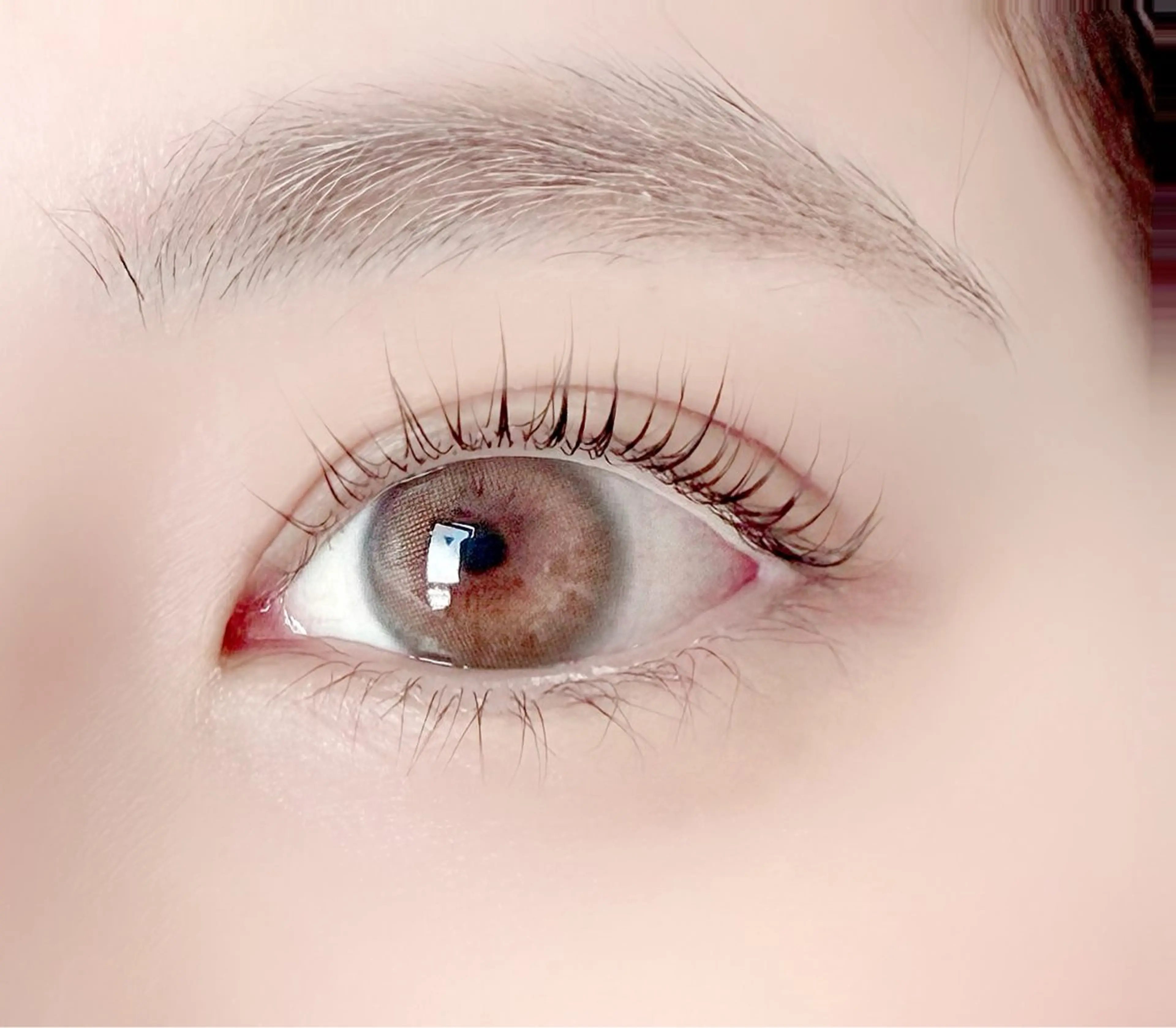 【オープン記念✨】似合わせまつ毛パーマ👀コーティング仕上げ付き💞（リピーター様＋500）の写真