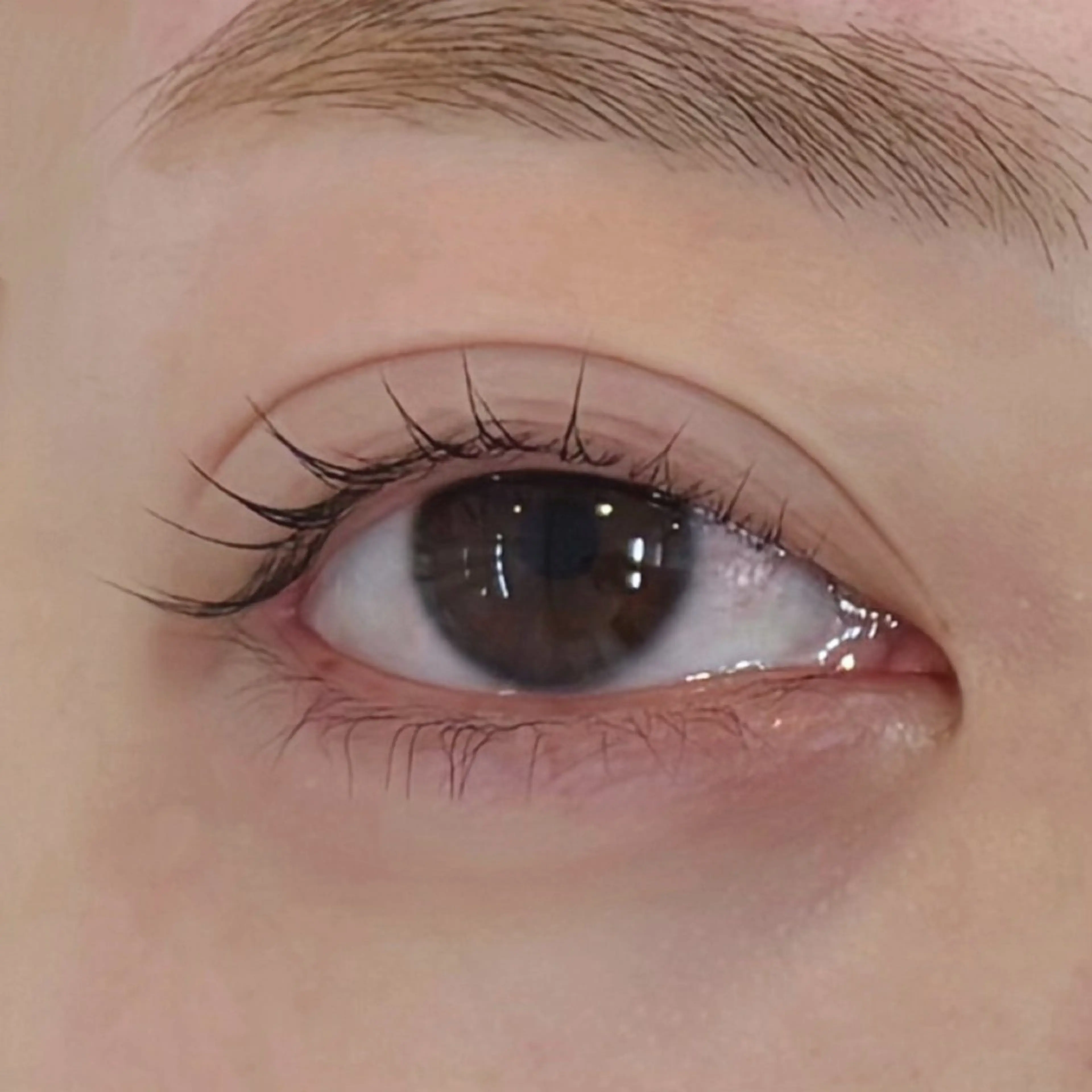 マツエク・マツパ MASAMI / 四条烏丸店のマツエク・マツパデザイン