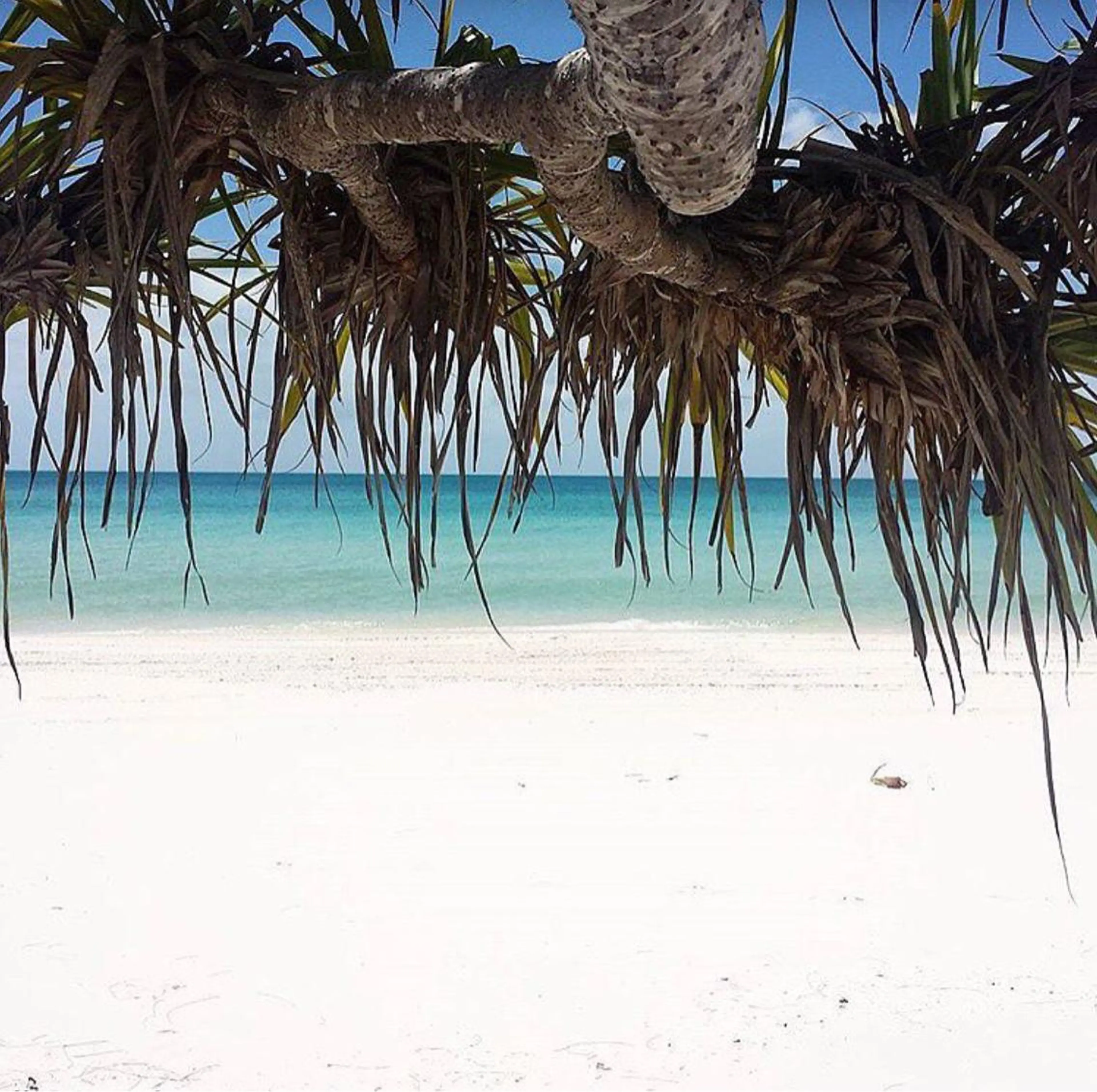 𝐘𝐎𝐒𝐇𝐈 𝐌𝐈🌞🏝のマツエク・マツパデザイン