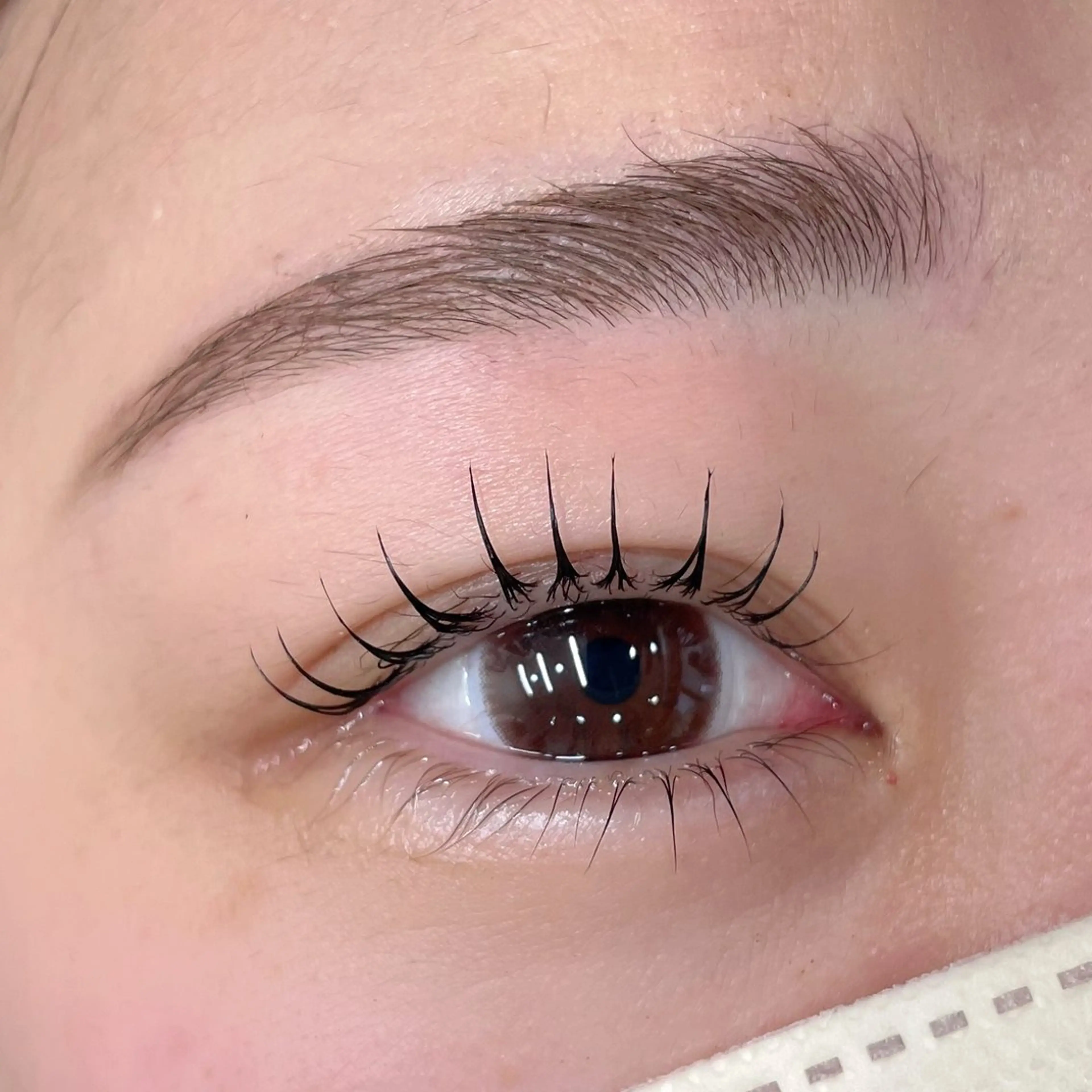 マツエク・マツパ 小瀧 ゆりあのマツエク・マツパデザイン