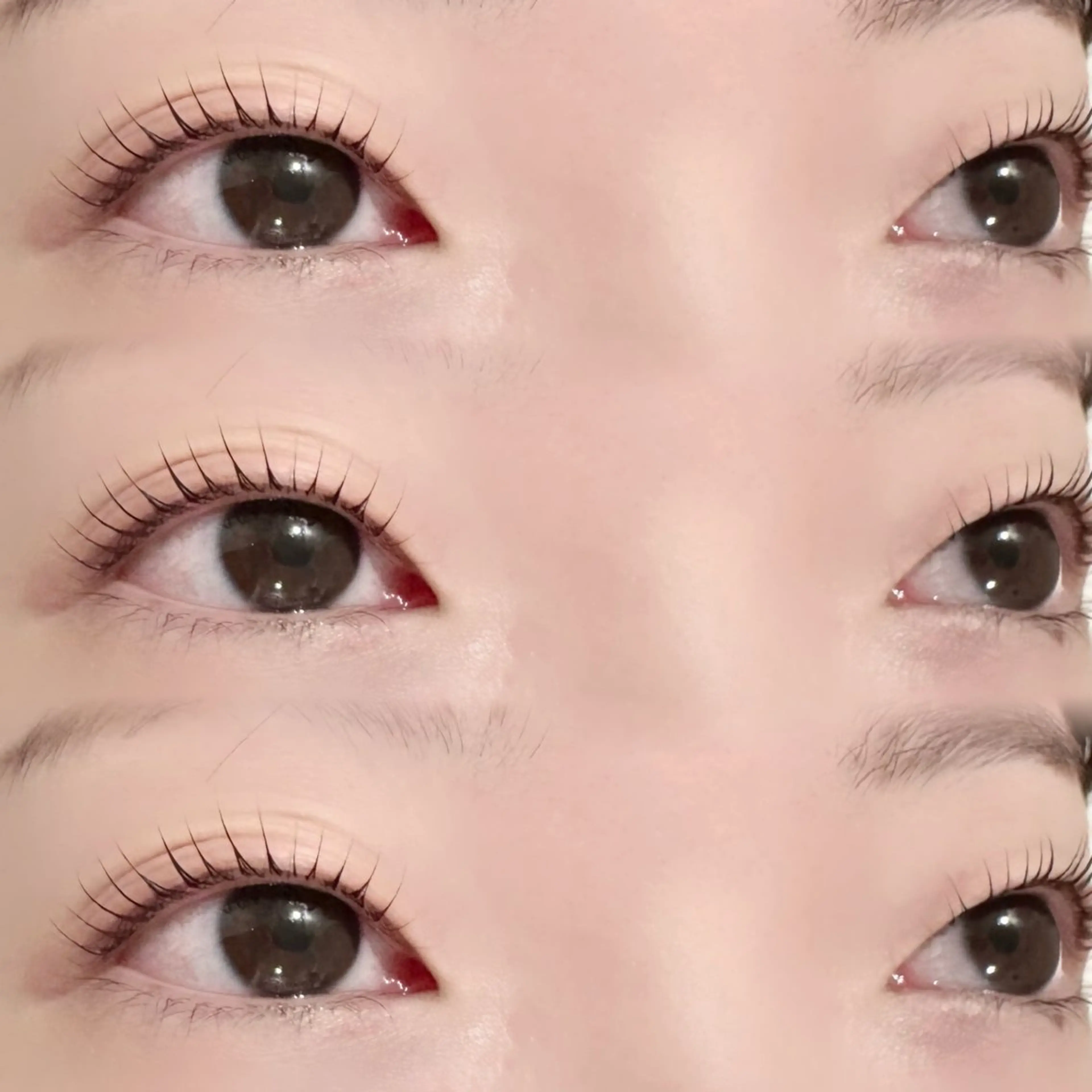 🩷パリジェンヌラッシュリフト🩷(似合わせ＋400円 )の写真