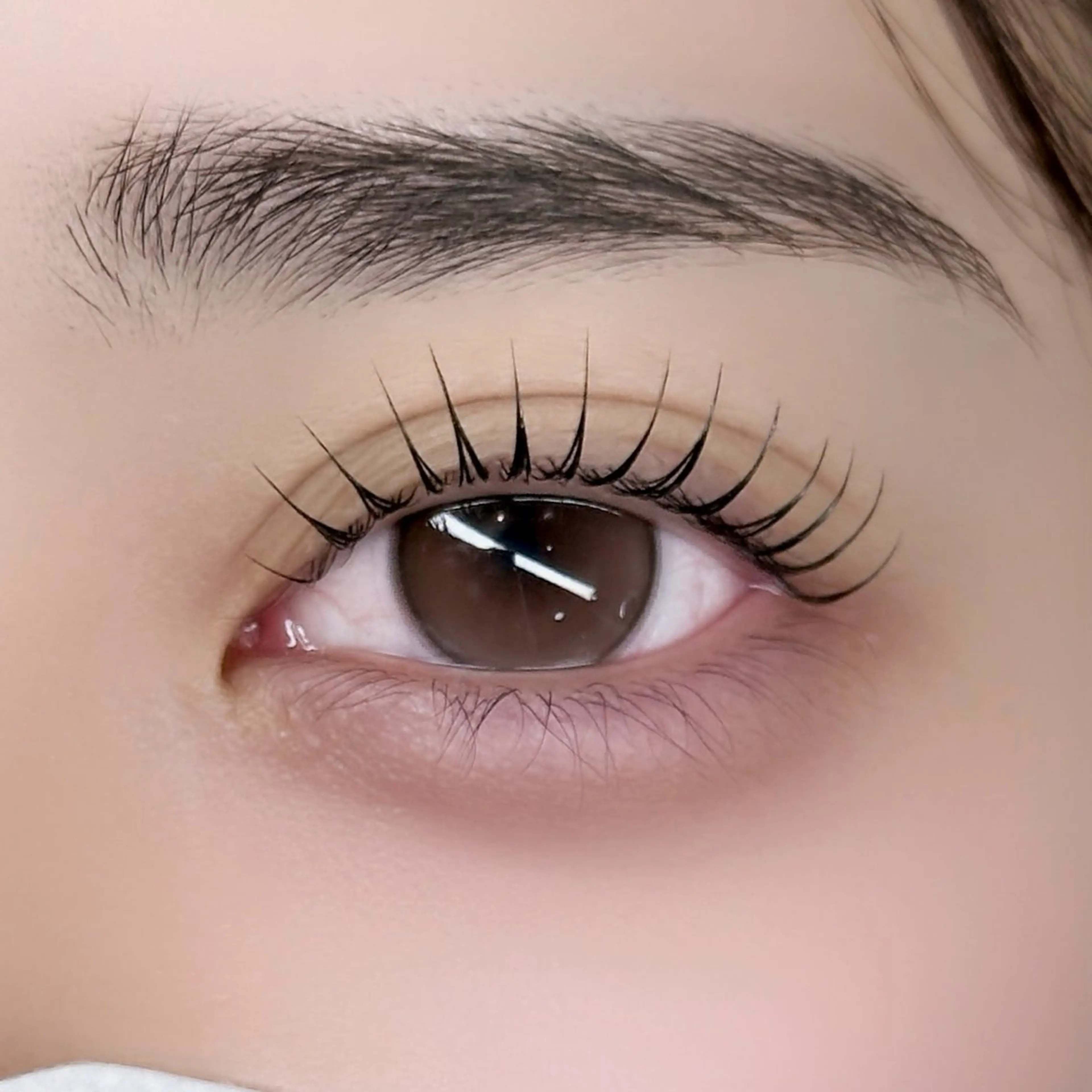 マツエク・マツパ マツパ 韓国束感まつげ ｜恵比寿 bomiのマツエク・マツパデザイン