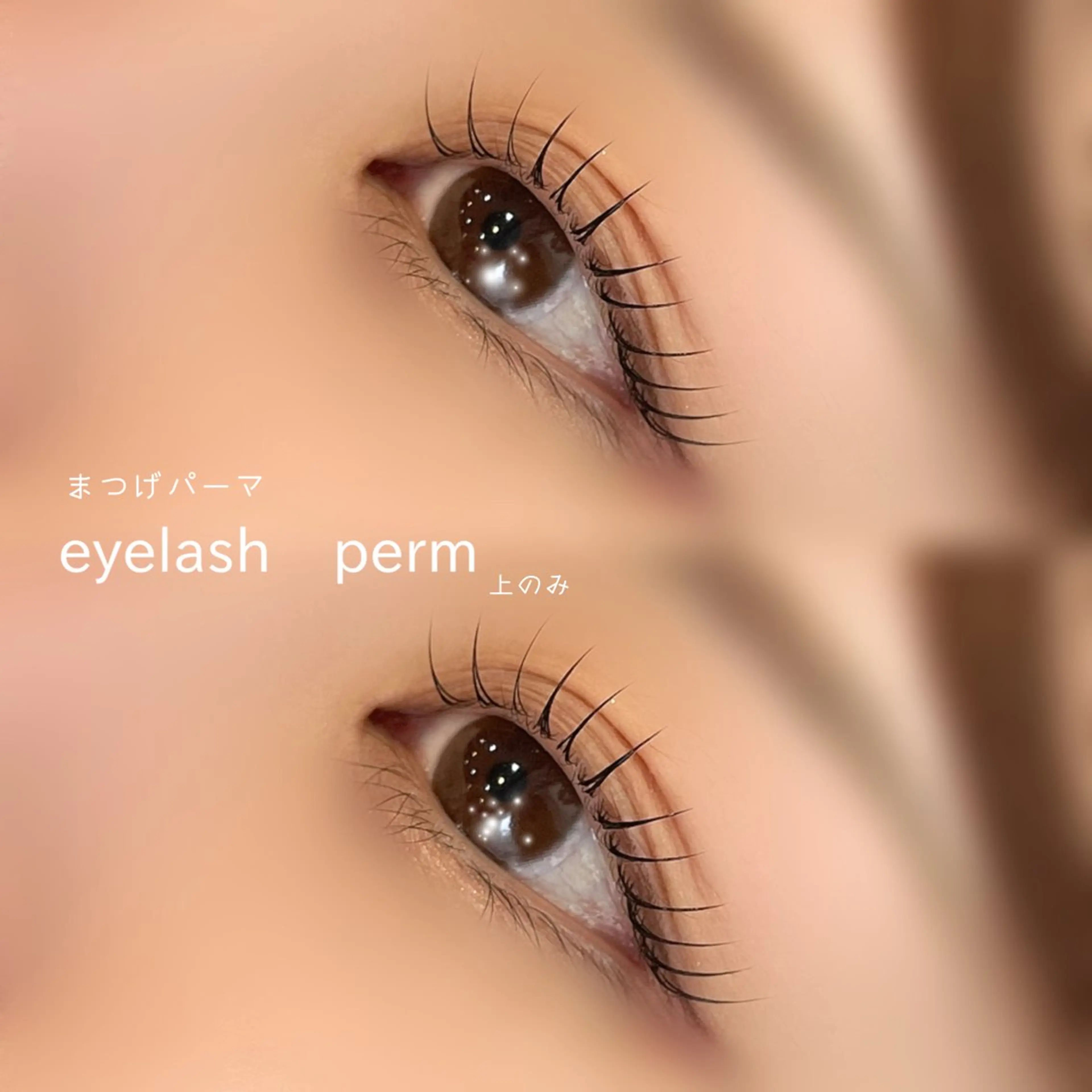 マツエク・マツパ マツパ EYE&NAIL M / 蝦名🌛⋆゜のマツエク・マツパデザイン