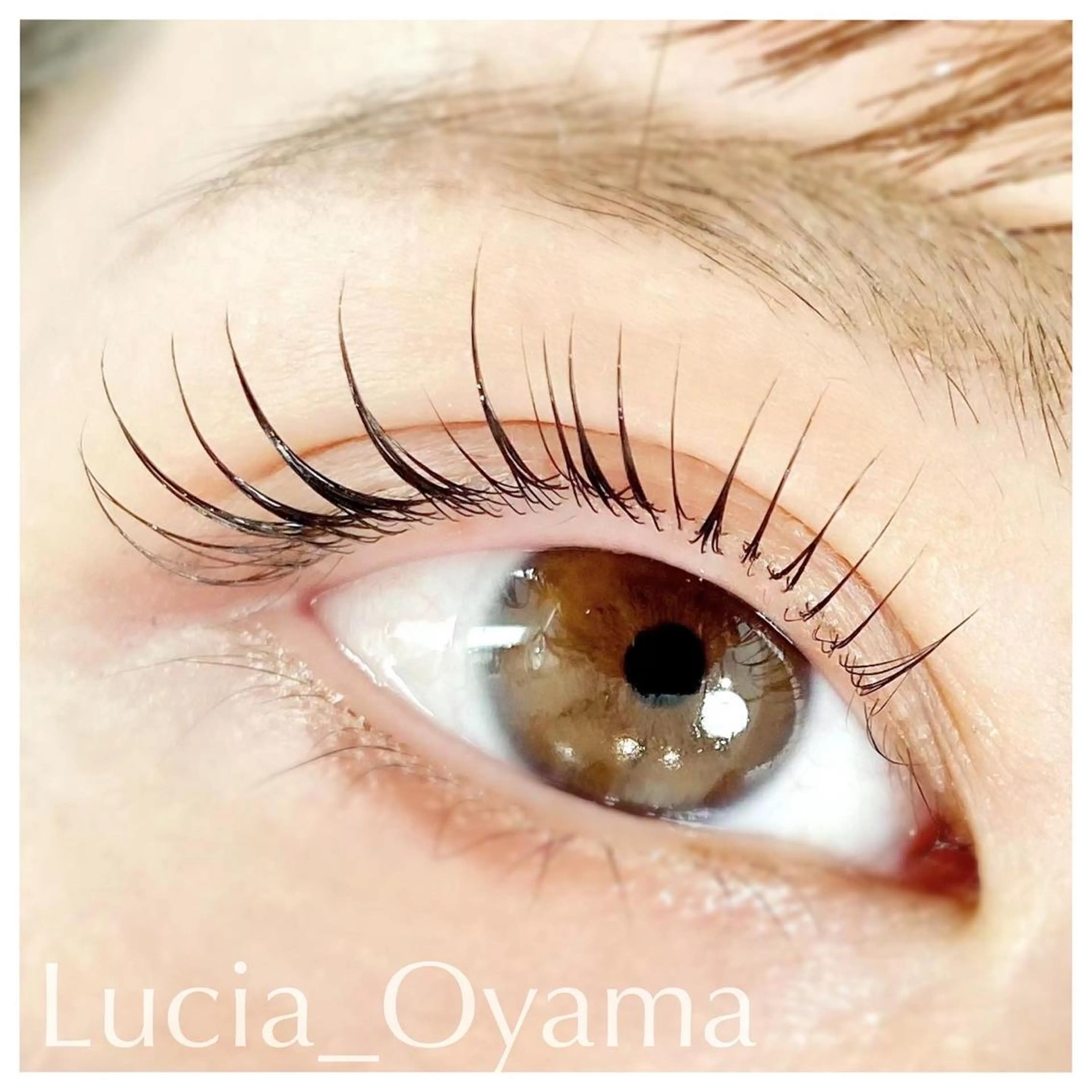 マツエク・マツパ LUCIA 天神店のマツエク・マツパデザイン