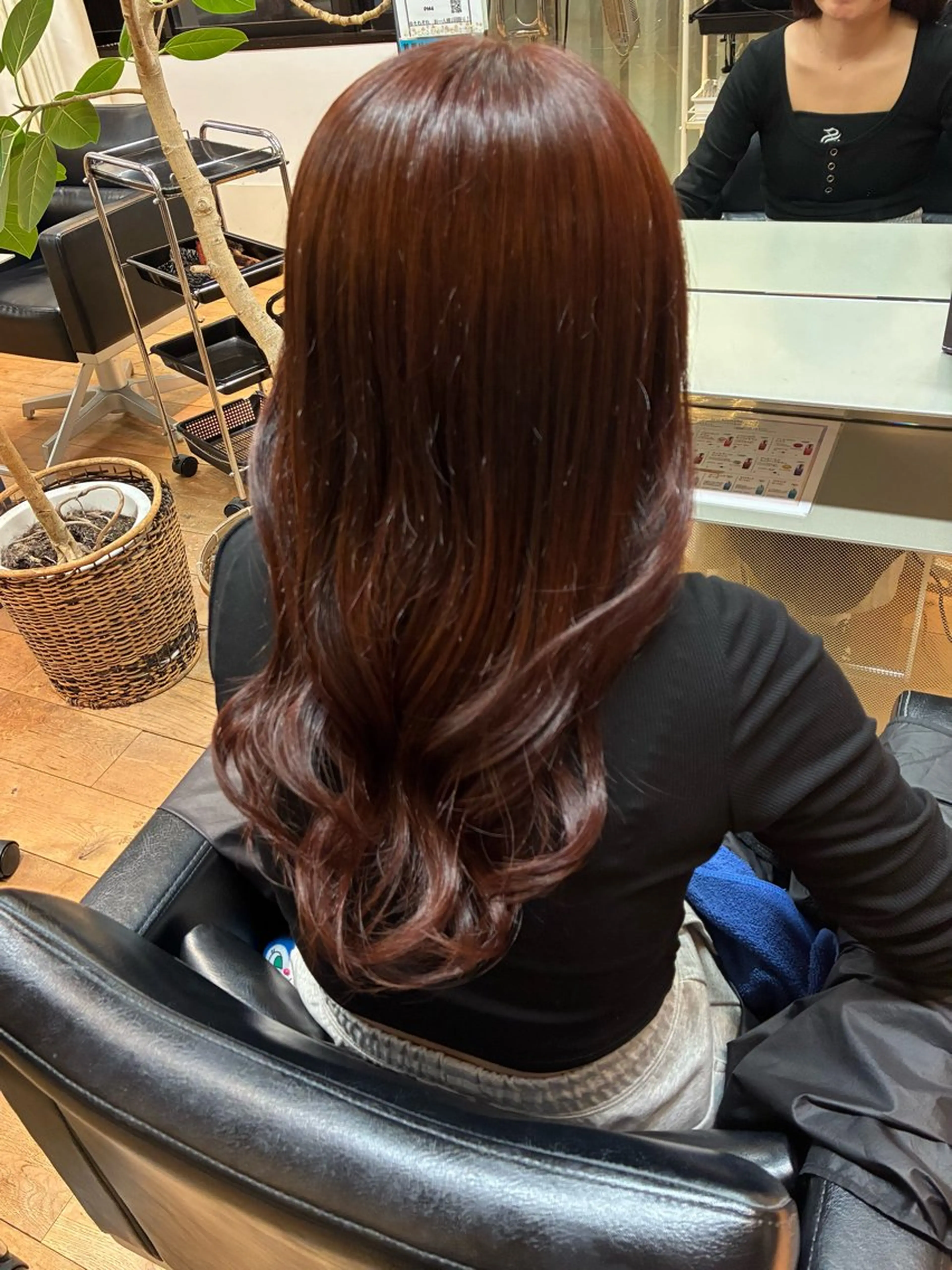 ✨期間限定✨カラーモデルの写真