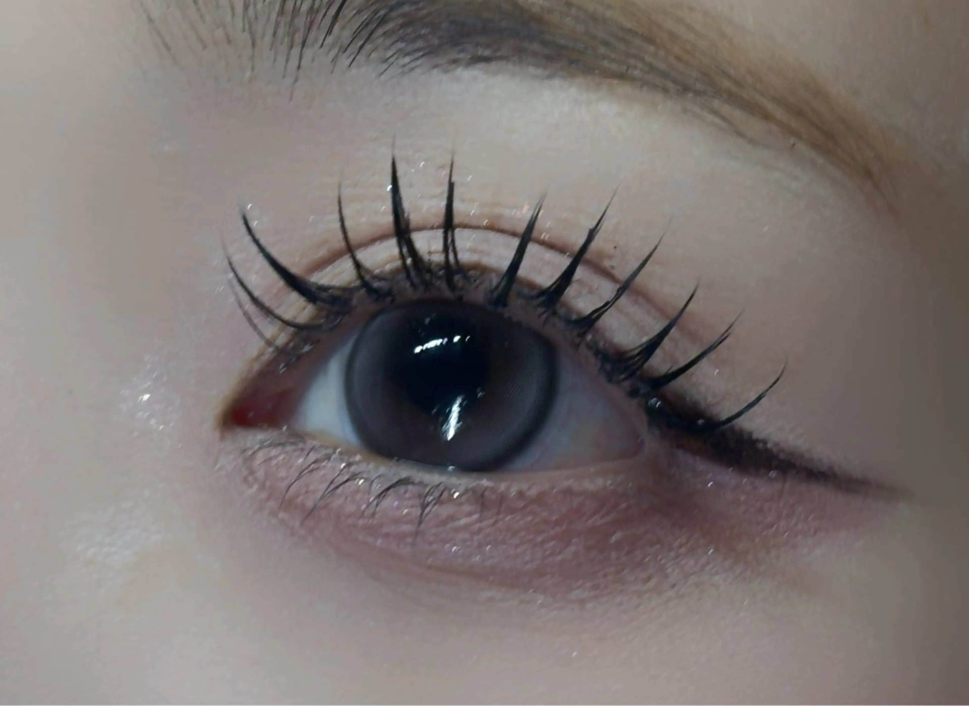 ボリュームUP🎀♡フラットラッシュ140本🫧🐰7500円の写真