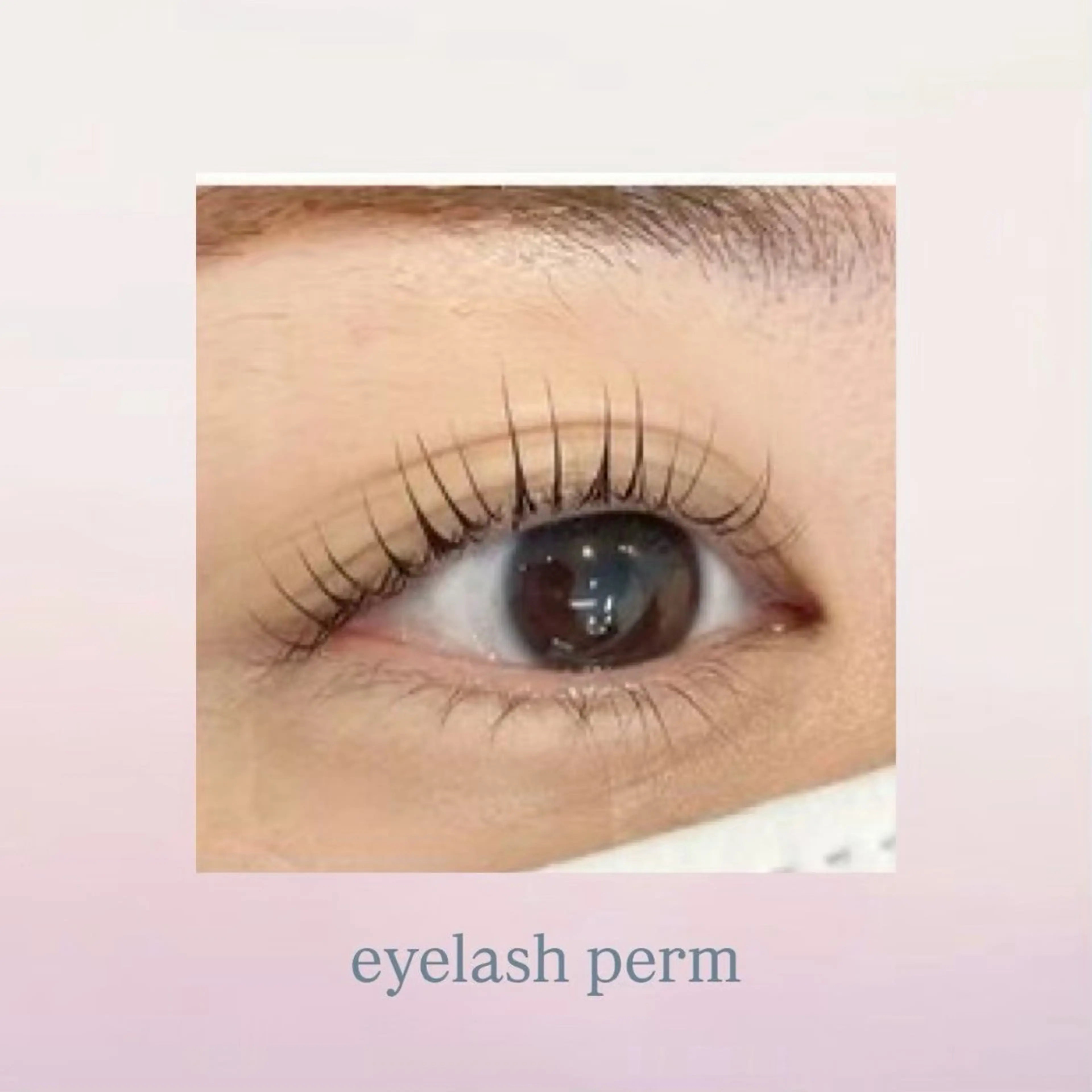 自然なカール感✨まつ毛パーマ¥2200の写真