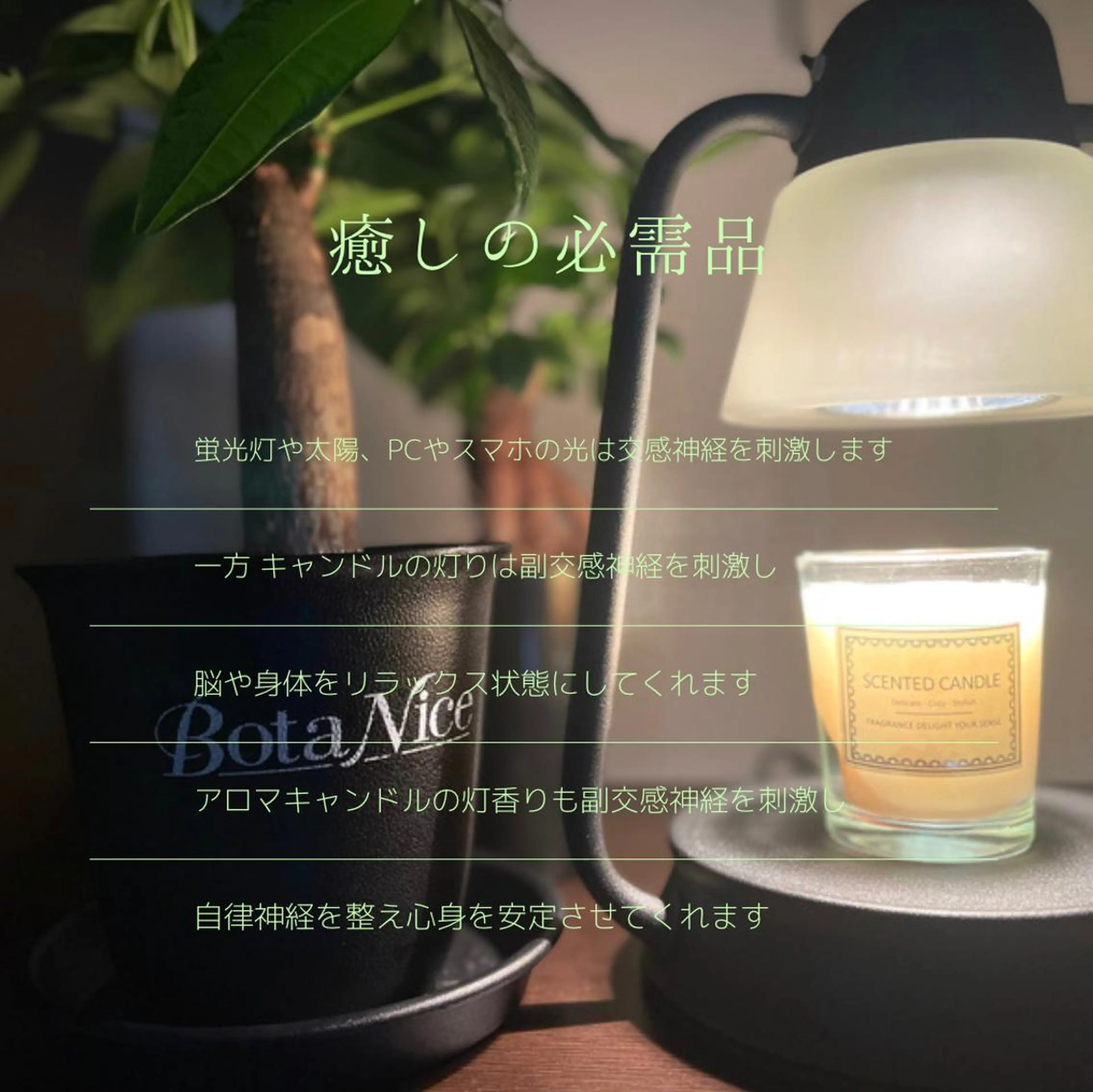 ドライヘッドスパ専門店 あんるぽ所属・ドライヘッドスパ専門 店〜あんるぽ〜のエステ・リラクイメージ