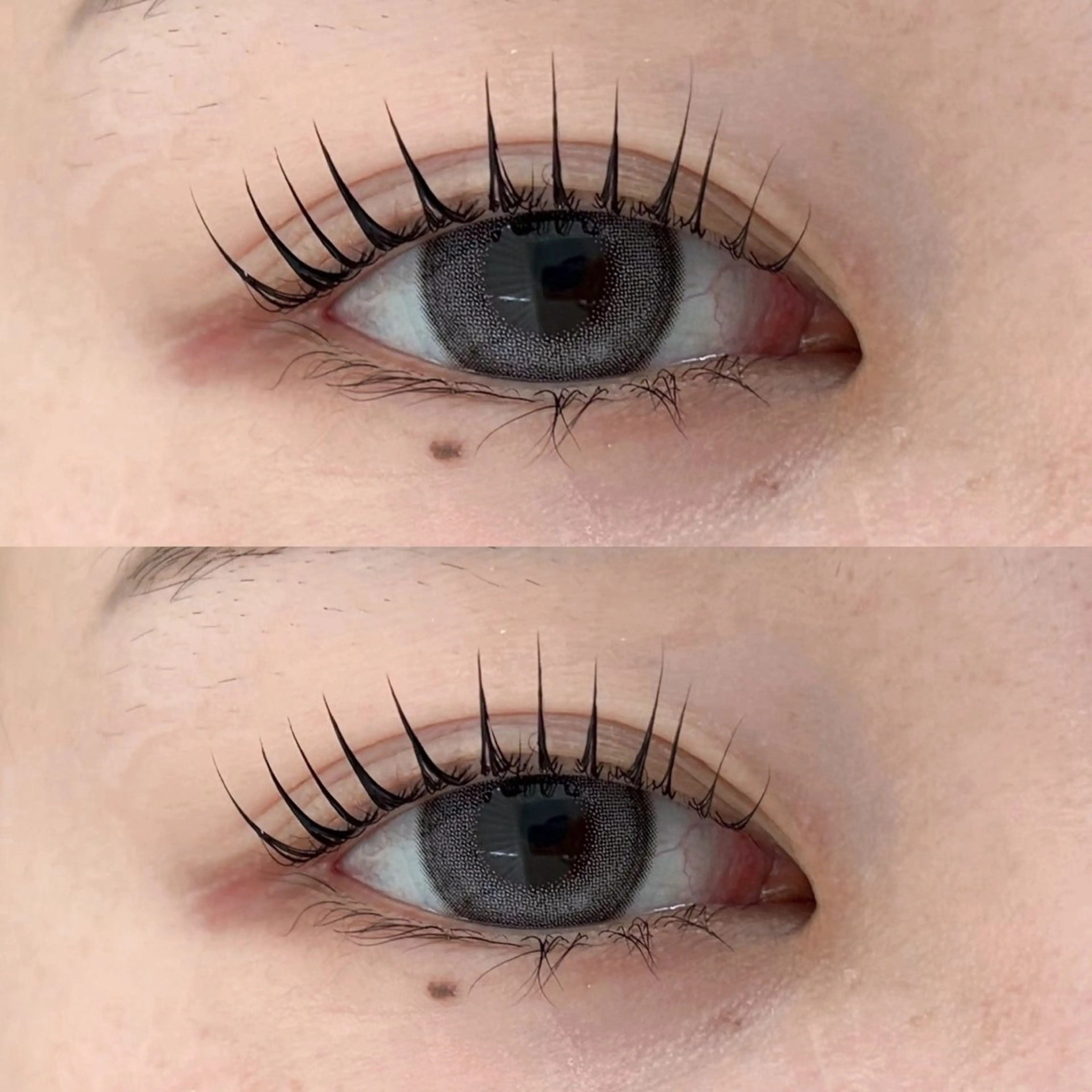 【⭐️4/15 16時のみ⚠️】パリジェンヌラッシュリフト無料モデル💕ご新規様限定【1時間半メニュー】の写真