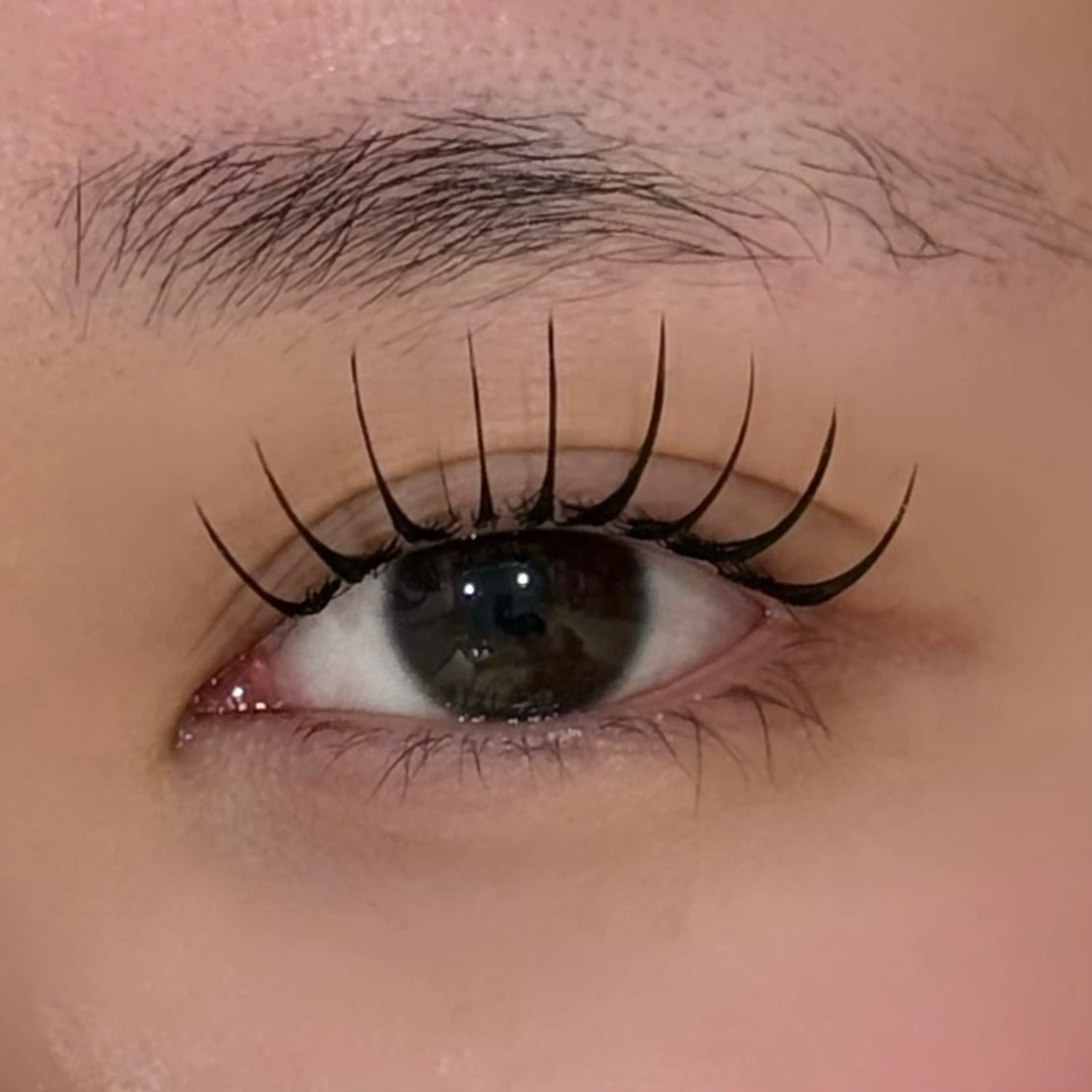 💎最新技術💎マツエク✖️マツパ　束感&healthy(アンドヘルシー)フラットラッシュ100本の写真