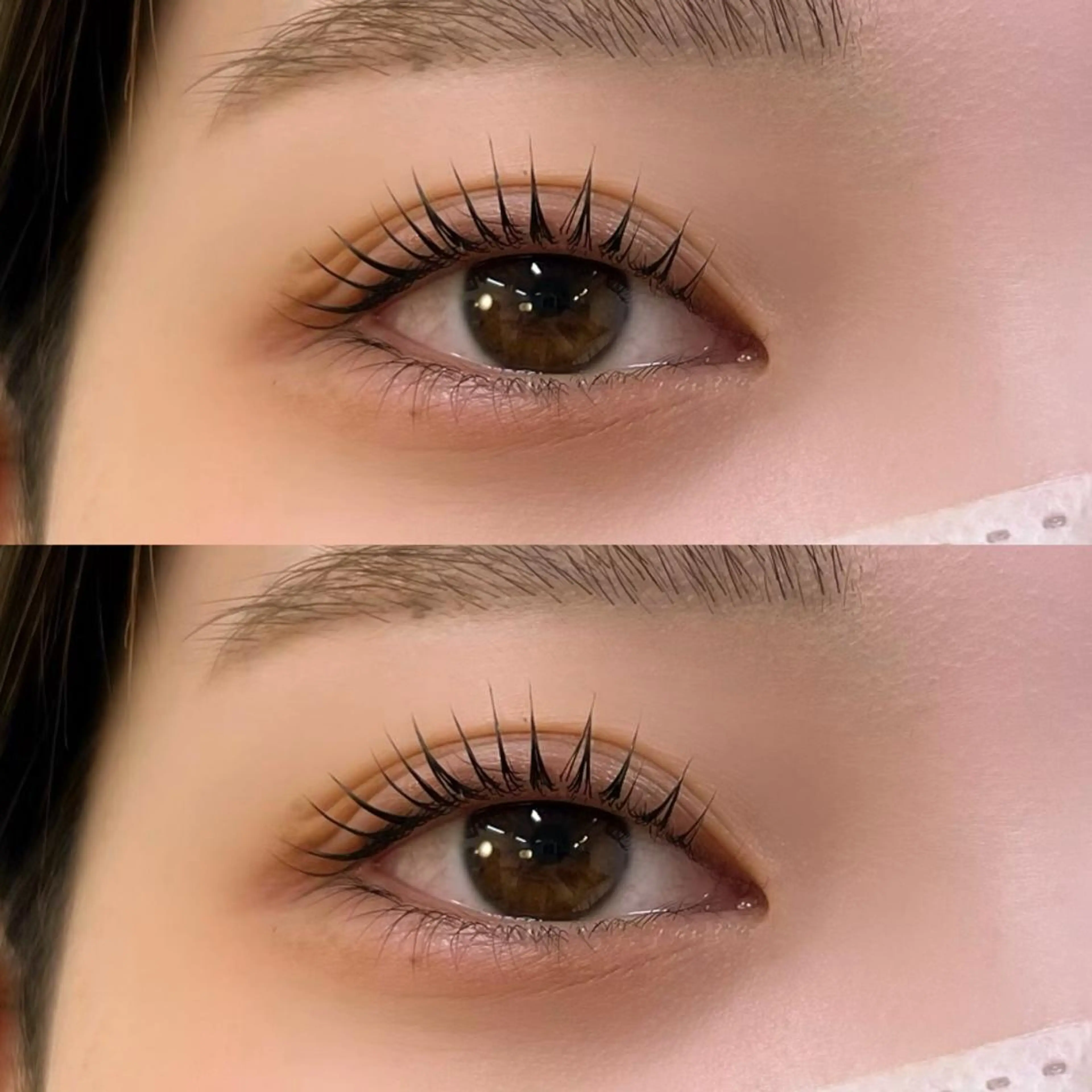 【ご新規様】ラッシュリフト🩰ブラックティント付き(デザイン自由)の写真