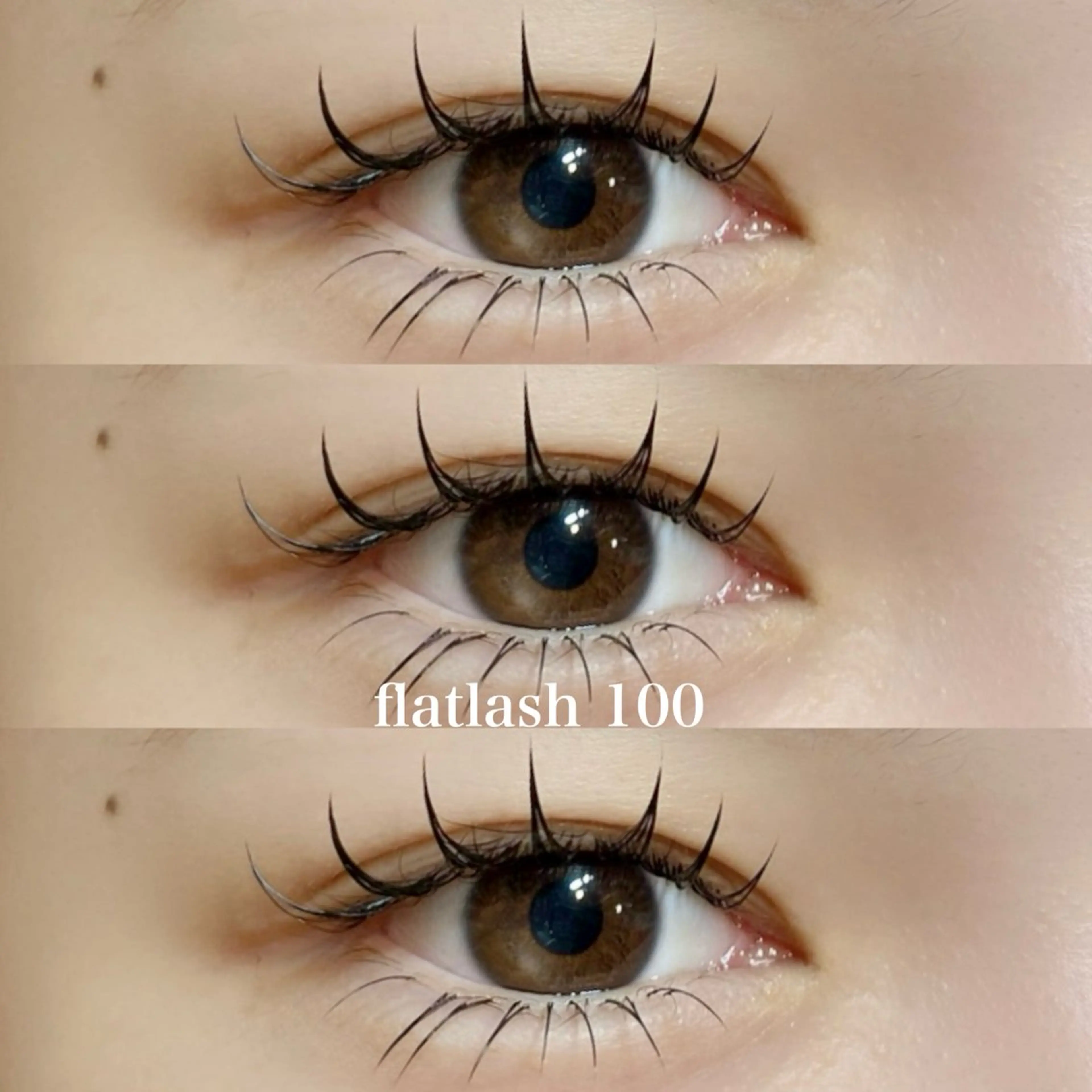 🌷マツエク100本🌷の写真