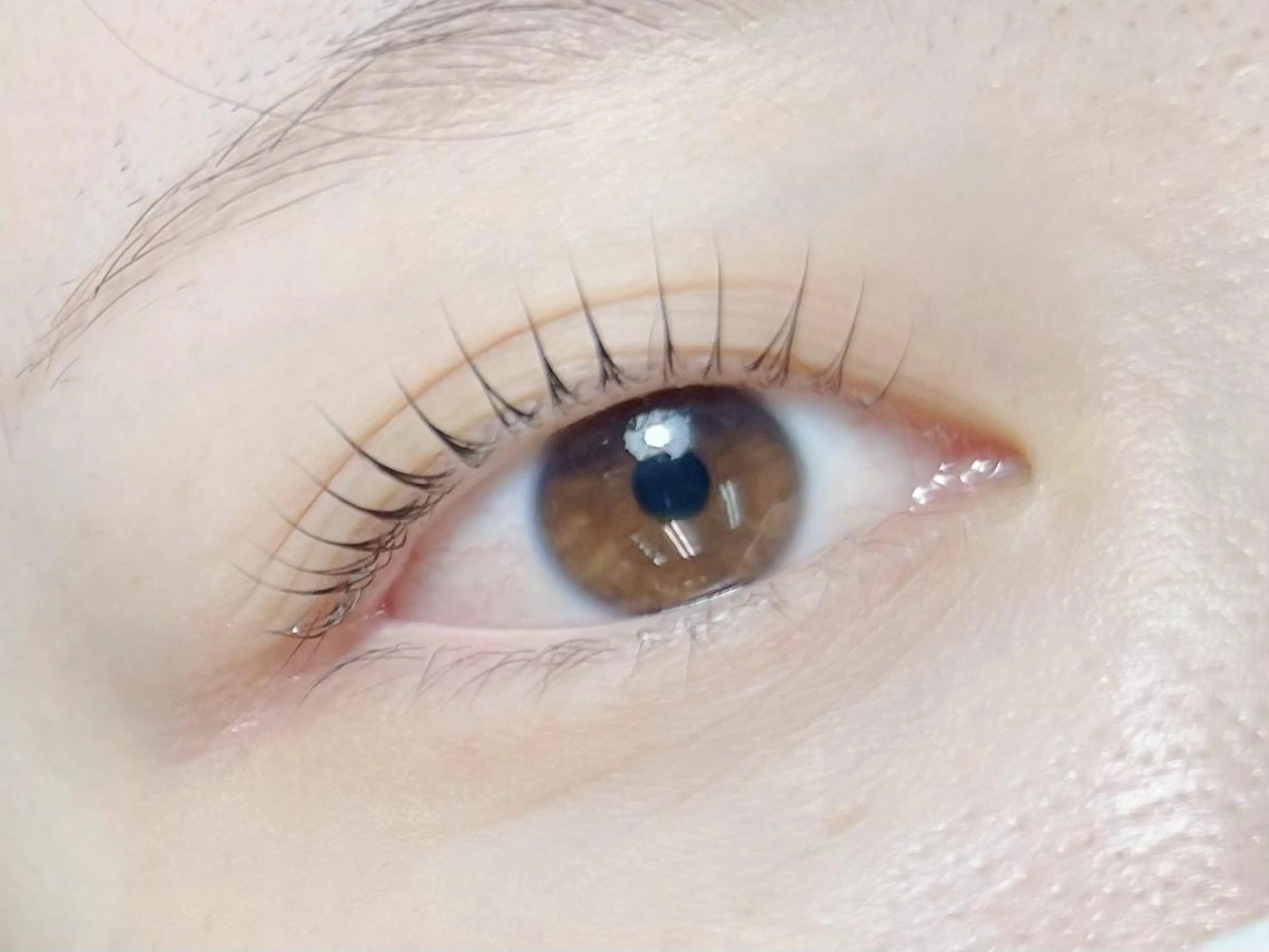 マツエク・マツパ BeckyLash 札幌アカデミー 0のマツエク・マツパデザイン