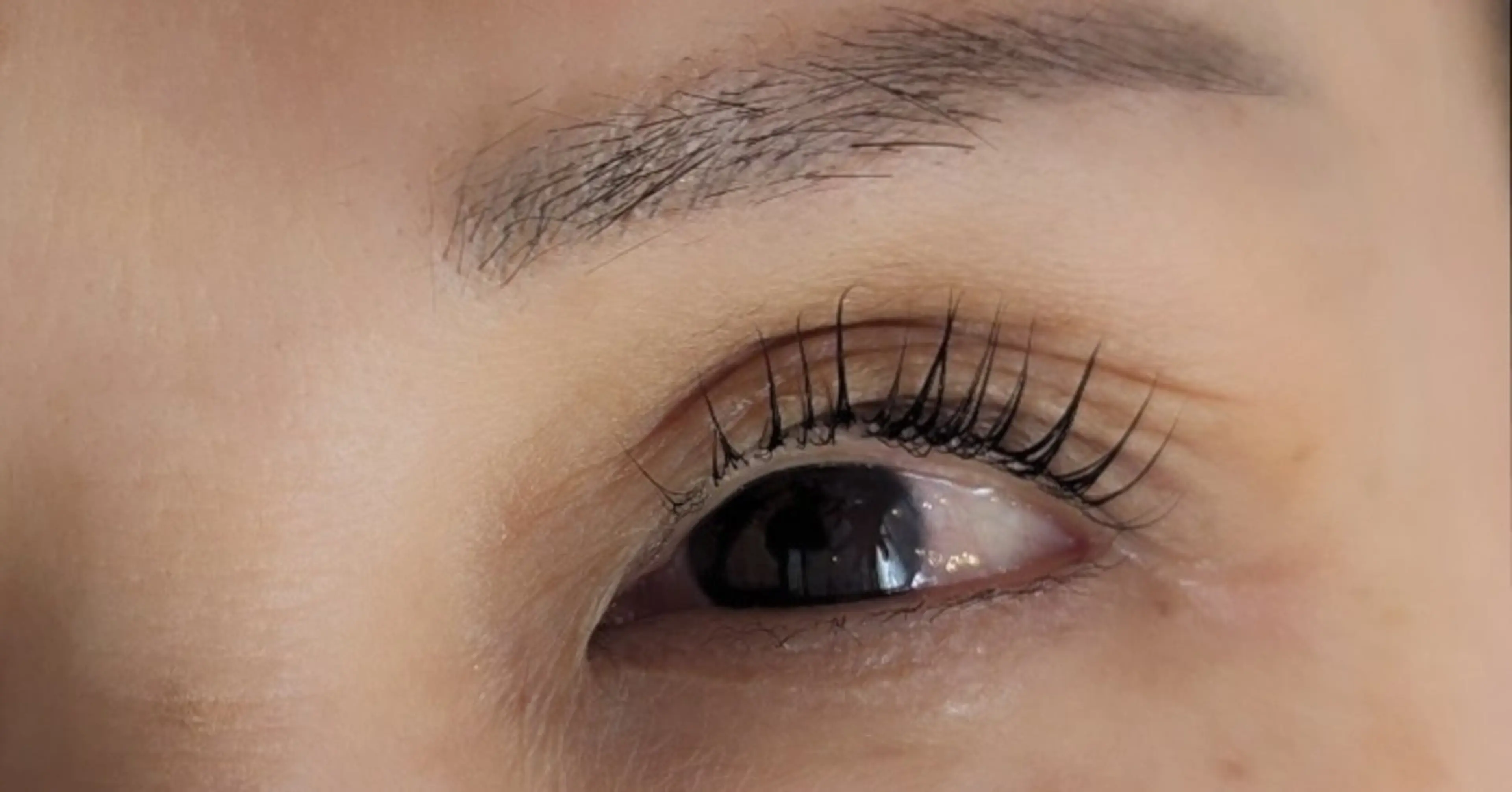 マツエク・マツパ まつパでマツ育 DRAMAの眉毛・アイブロウイメージ