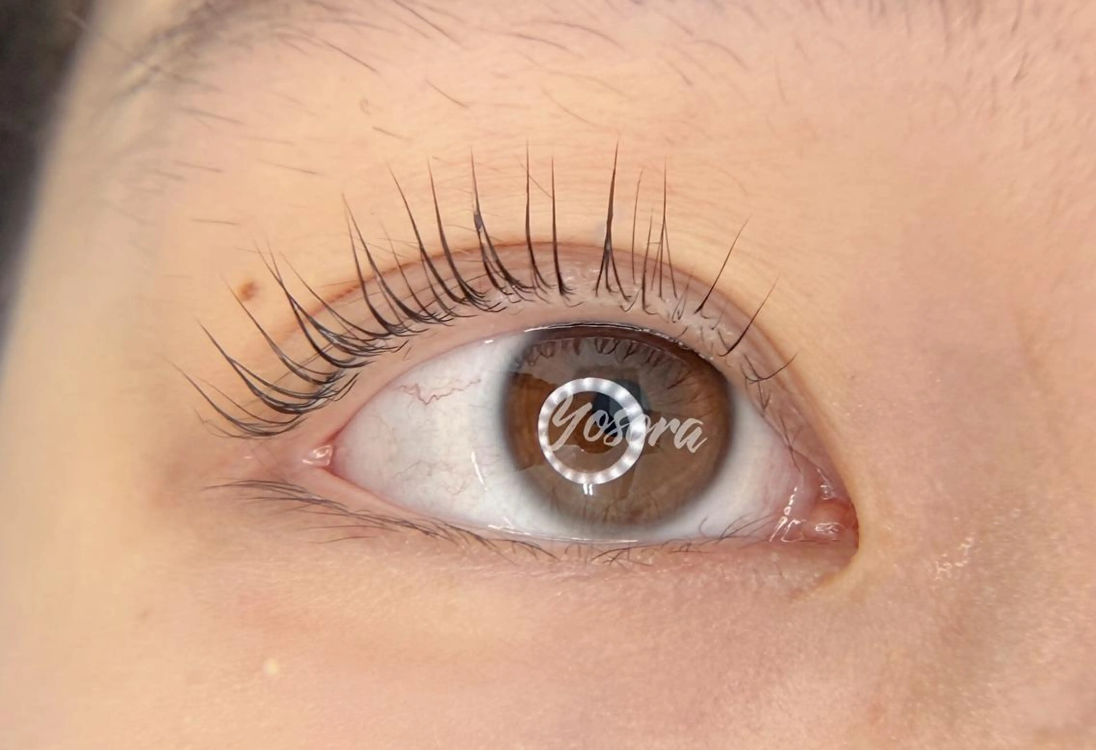 マツエク・マツパ Lカール 一重×まつ毛パーマ マツパ 浅草橋 Yosoraのマツエク・マツパデザイン