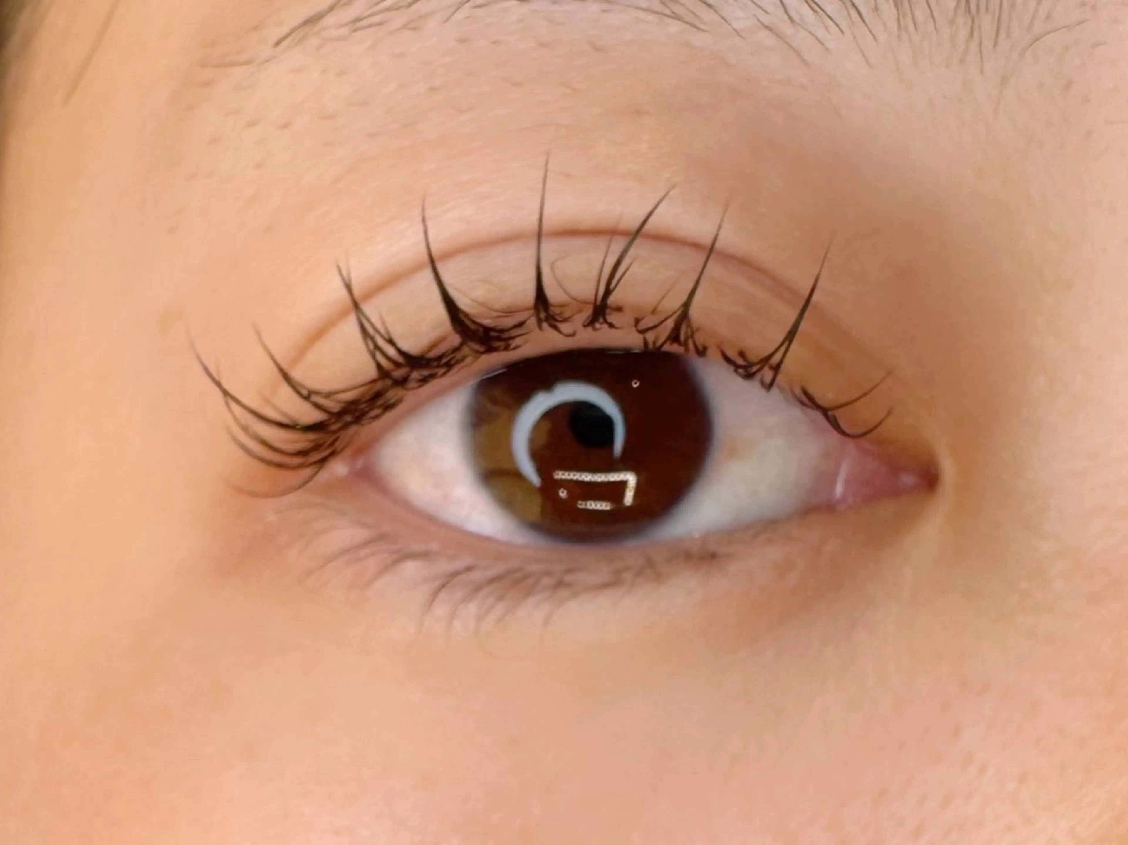 【撮影可能な方限定】【エクパーマ★】ラッシュリフト上+マツエク100本¥16800→¥8800の写真