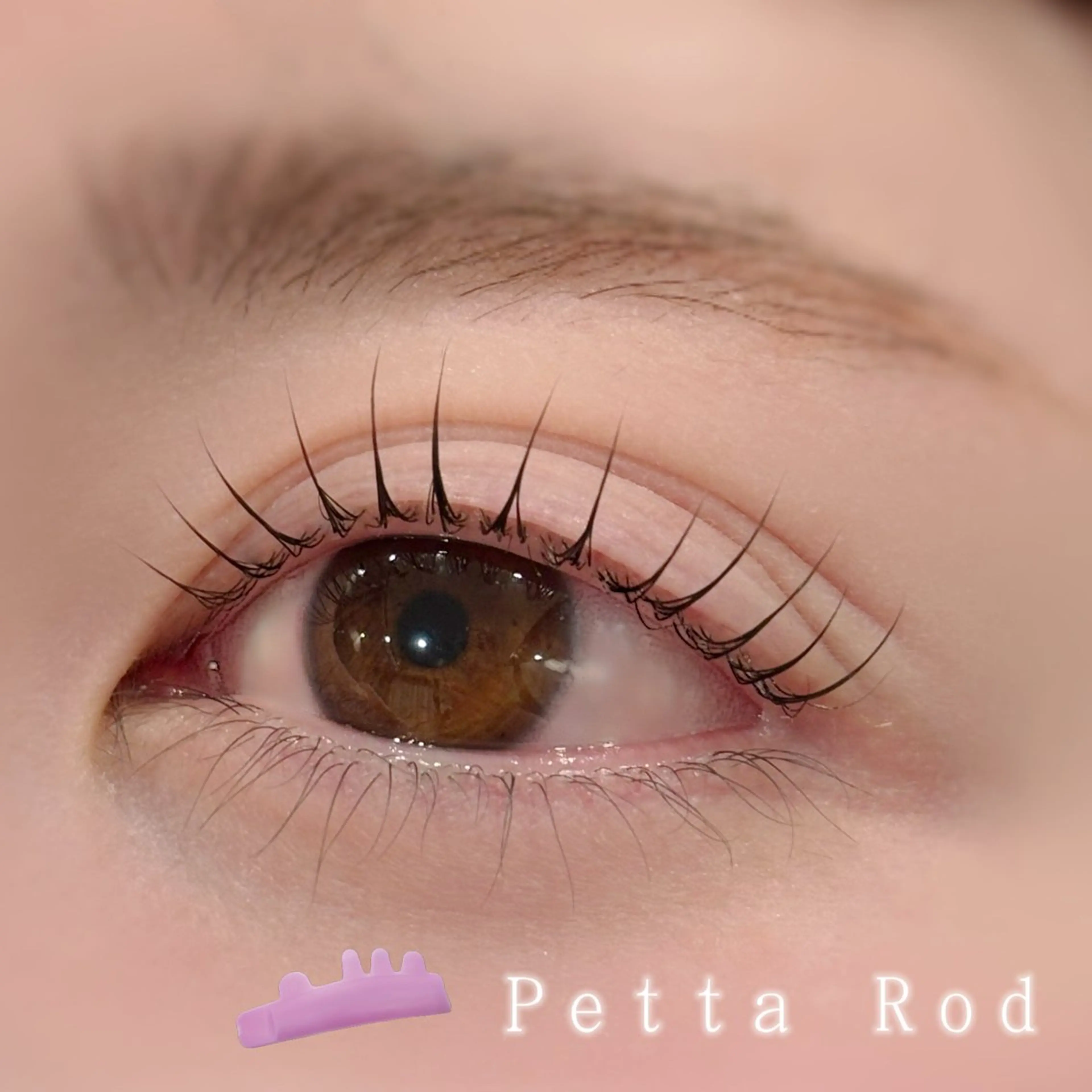 🍊似合わせまつ毛パーマ🍊の写真