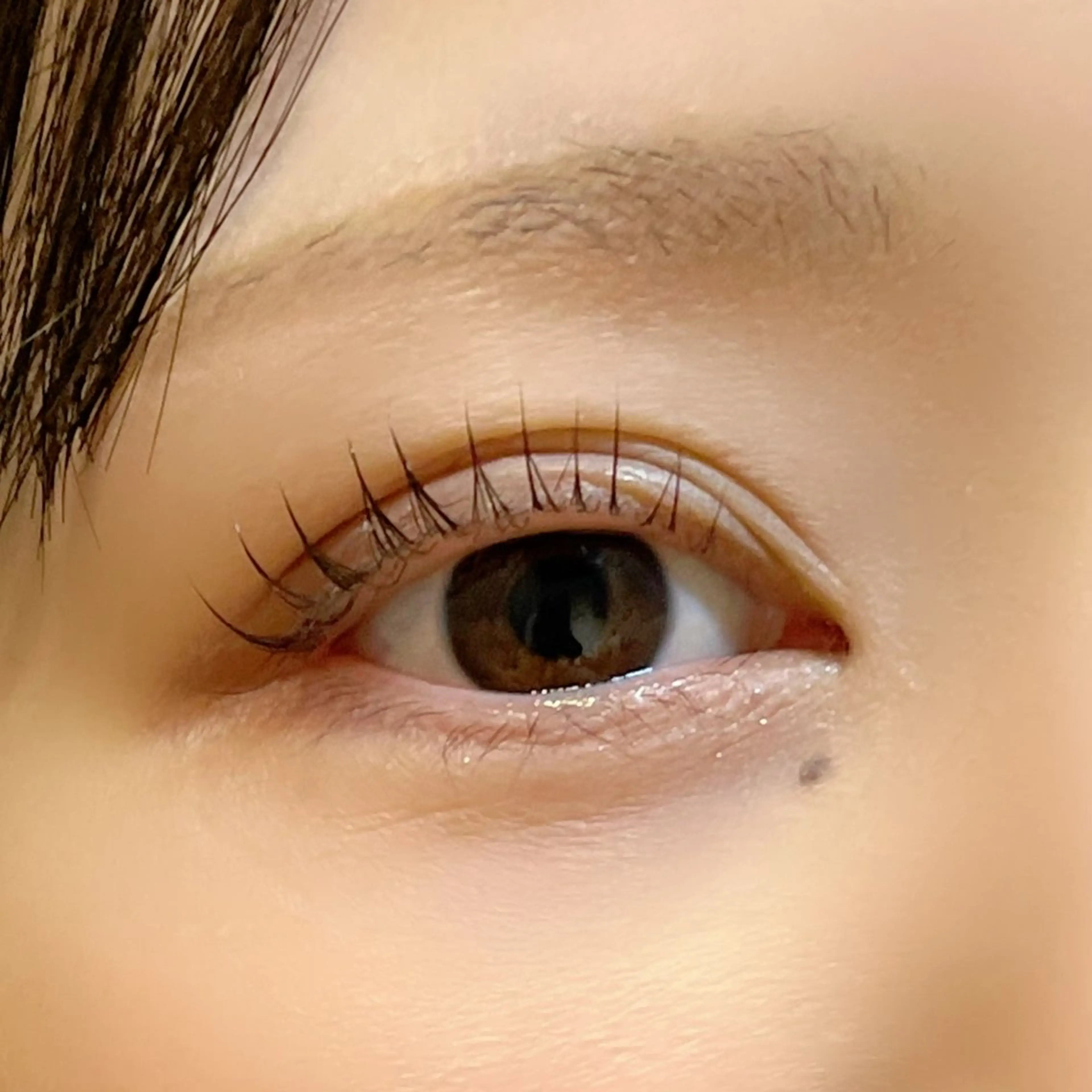 まつげパーマ+ 高濃度まつげ美容液の写真